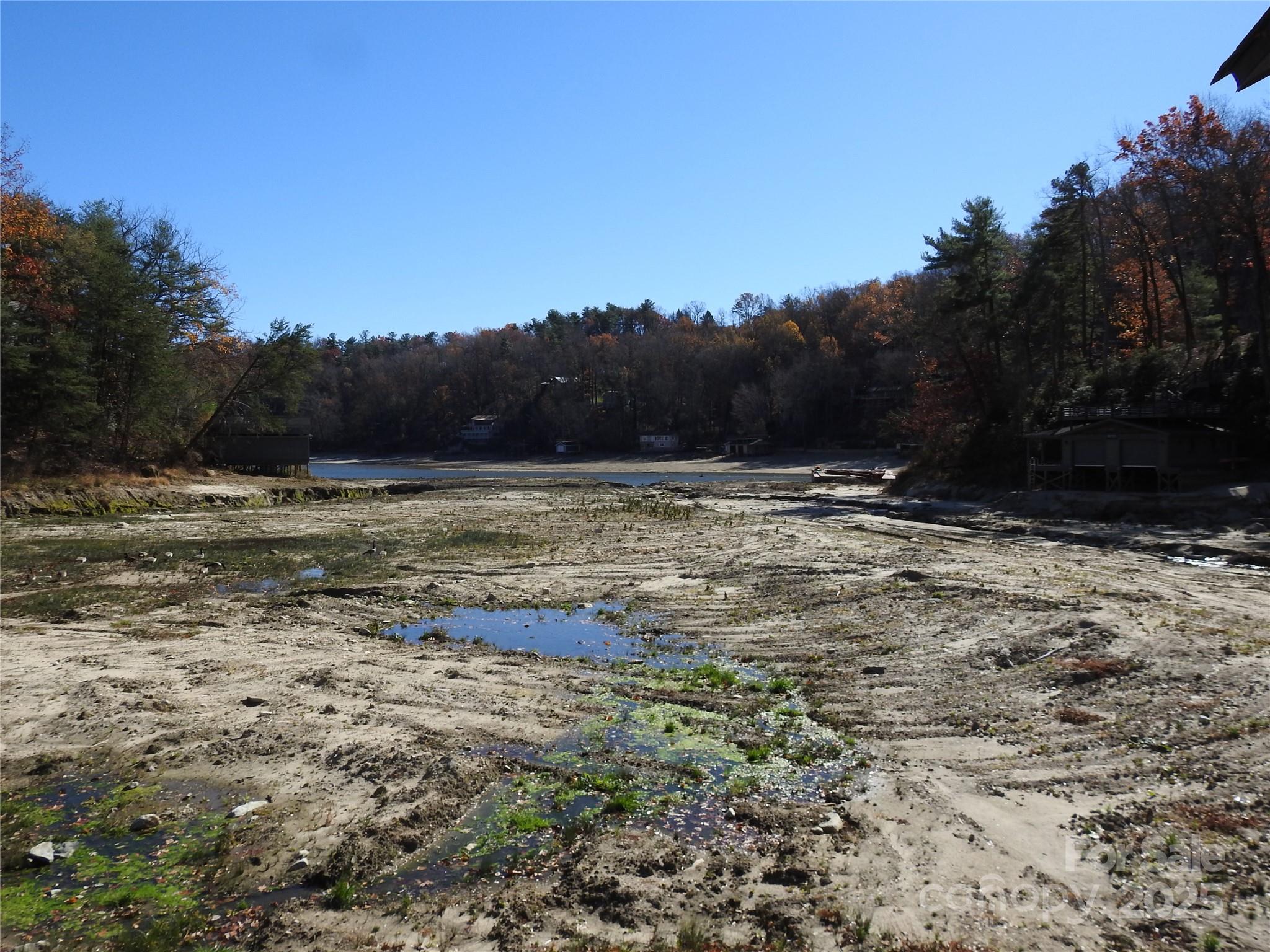 Firefly Cove - Land