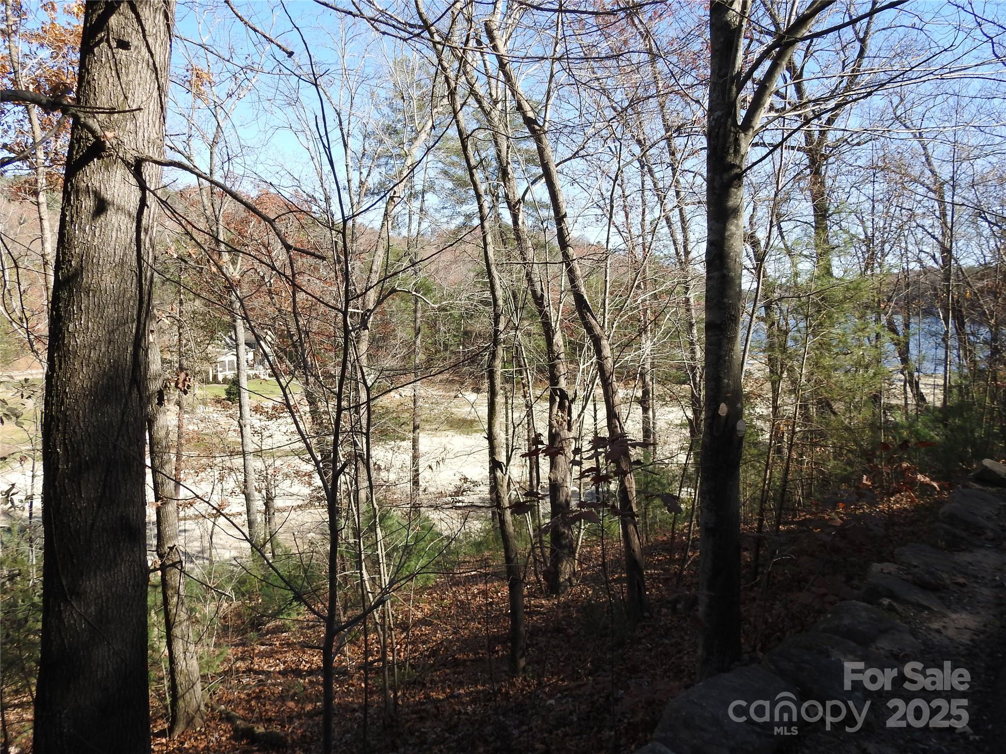 Firefly Cove - Land