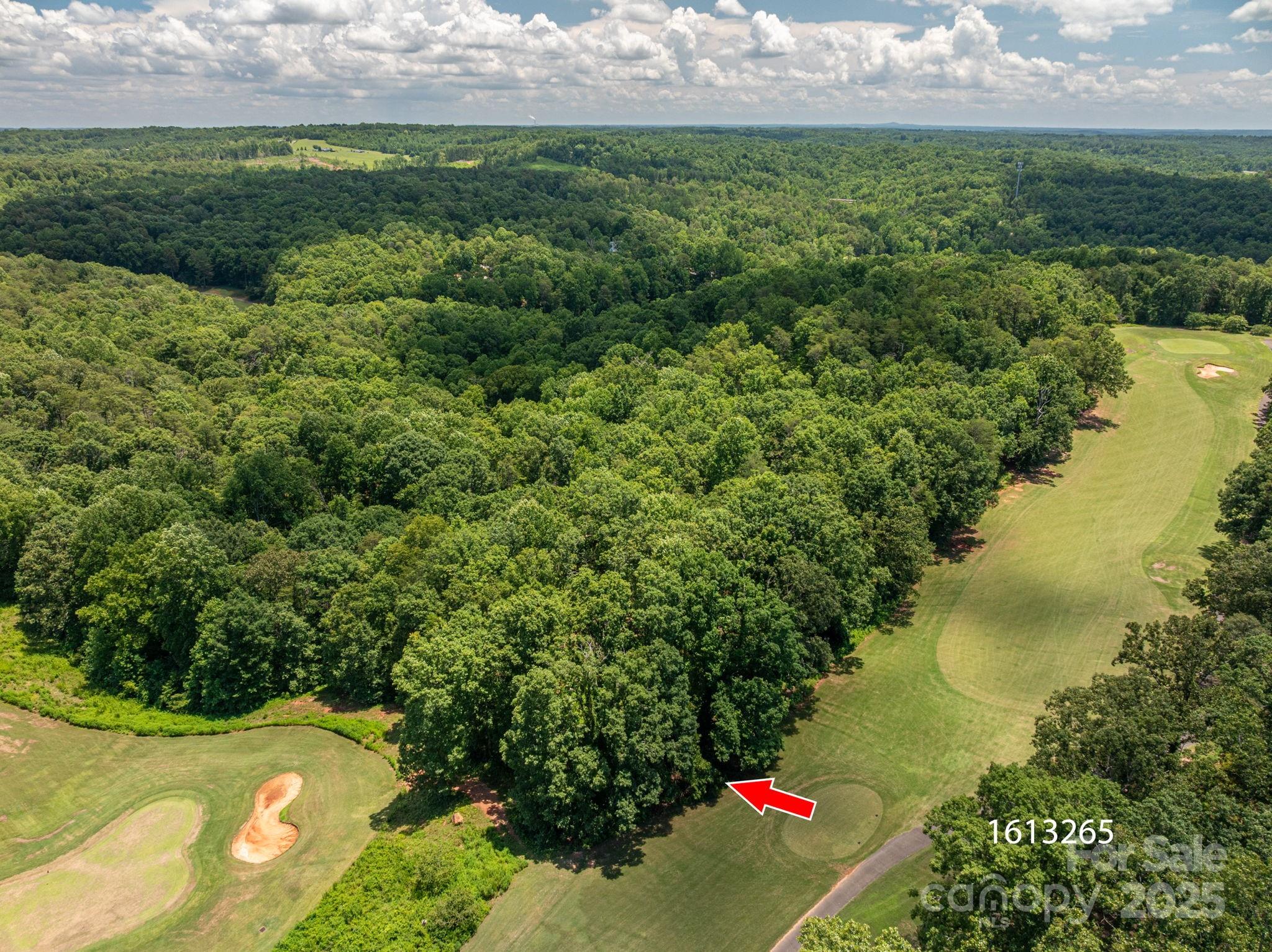 Cleghorn Plantation - Land