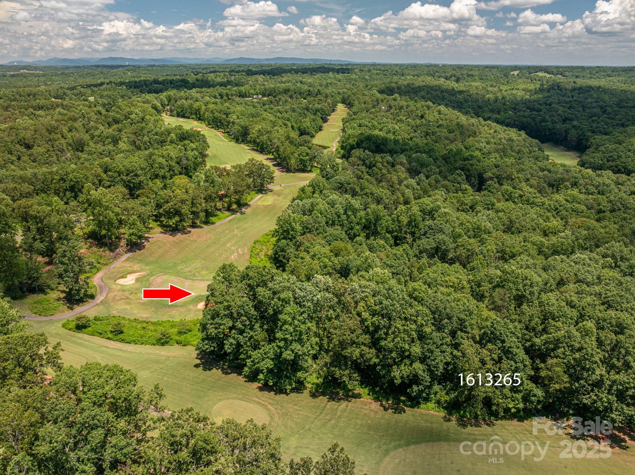 Cleghorn Plantation - Land