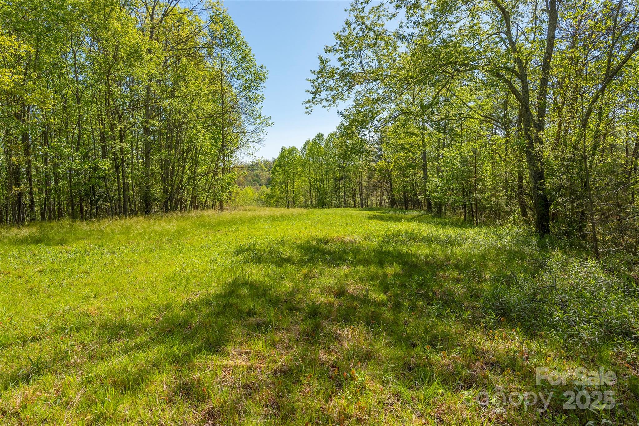 Discover the potential of this unrestricted mountain retreat, offering 3–4 possible build sites with beautiful long-range mountain views and ultimate privacy. Whether you’re dreaming of a private estate, multi-home family retreat, or weekend escape, this versatile property invites endless possibilities.

Utility and gas easements are already in place, offering convenient access for future development and helping keep portions of the land cleared.

You’ll be surrounded by mature hardwoods, year-round wildlife, and natural tranquility, all just 10 minutes to Old Fort, 20 minutes to Marion, and 40 minutes to Asheville—close to amenities, yet tucked away from it all.

Agent-accompanied showings only—schedule your private tour today and explore what this mountain haven can become!
