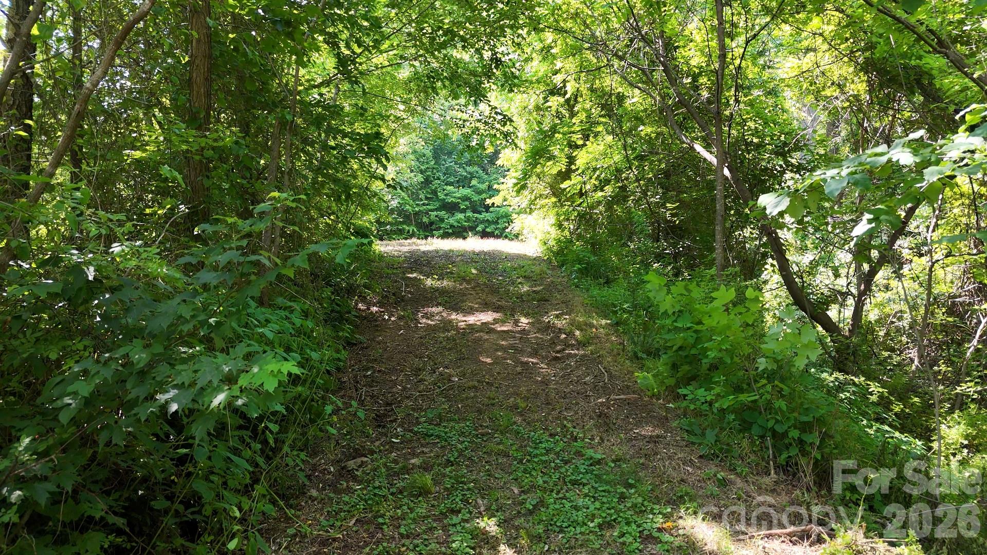 Cobblers Knob - Land