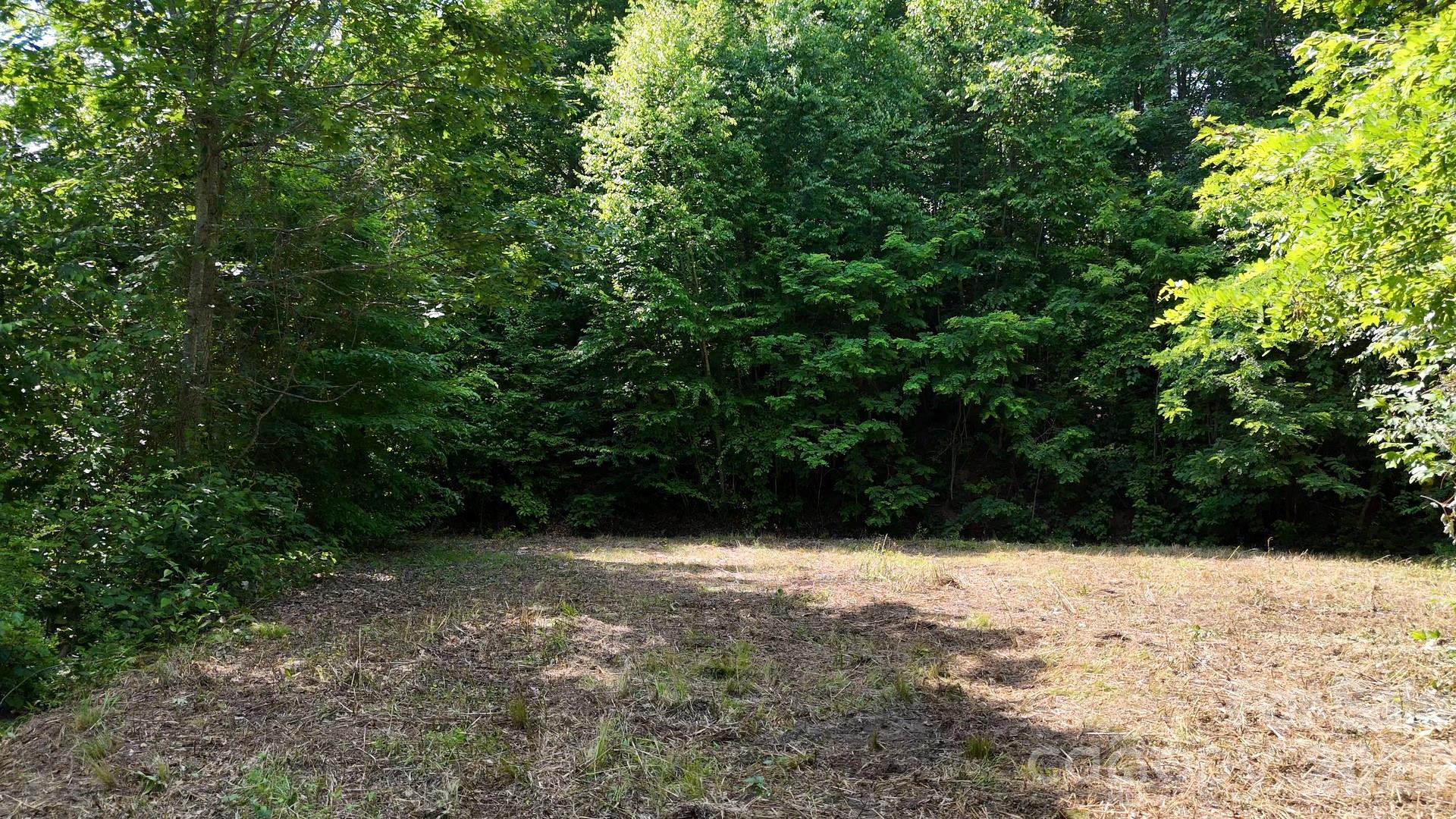 Cobblers Knob - Land