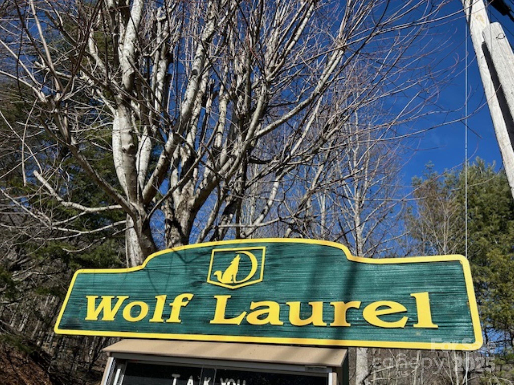 Wolf Laurel - Land