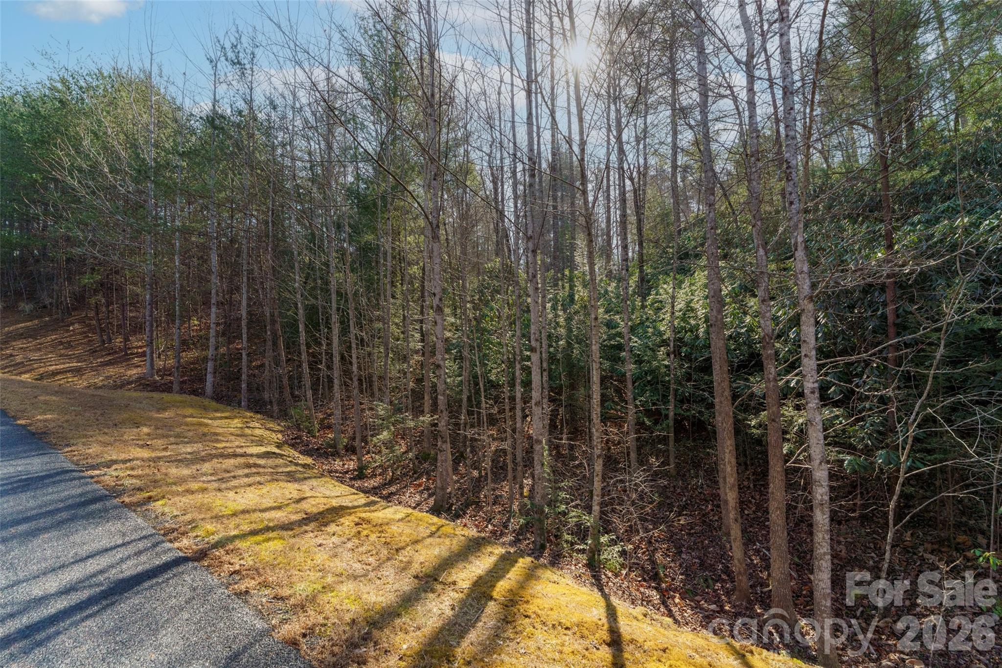 The Arbor at Lake James - Land