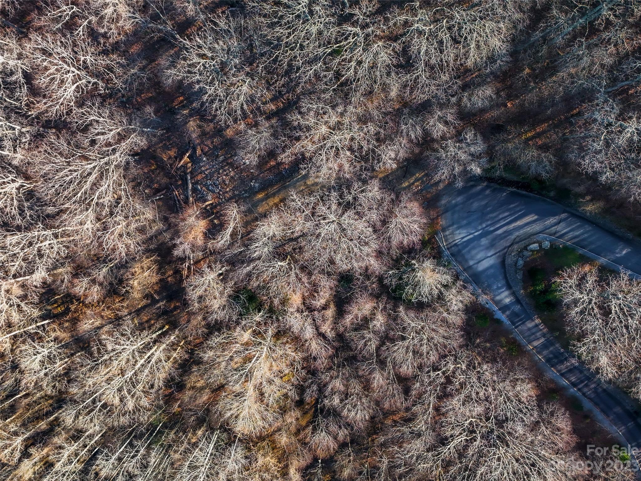 Rosy Hills - Land