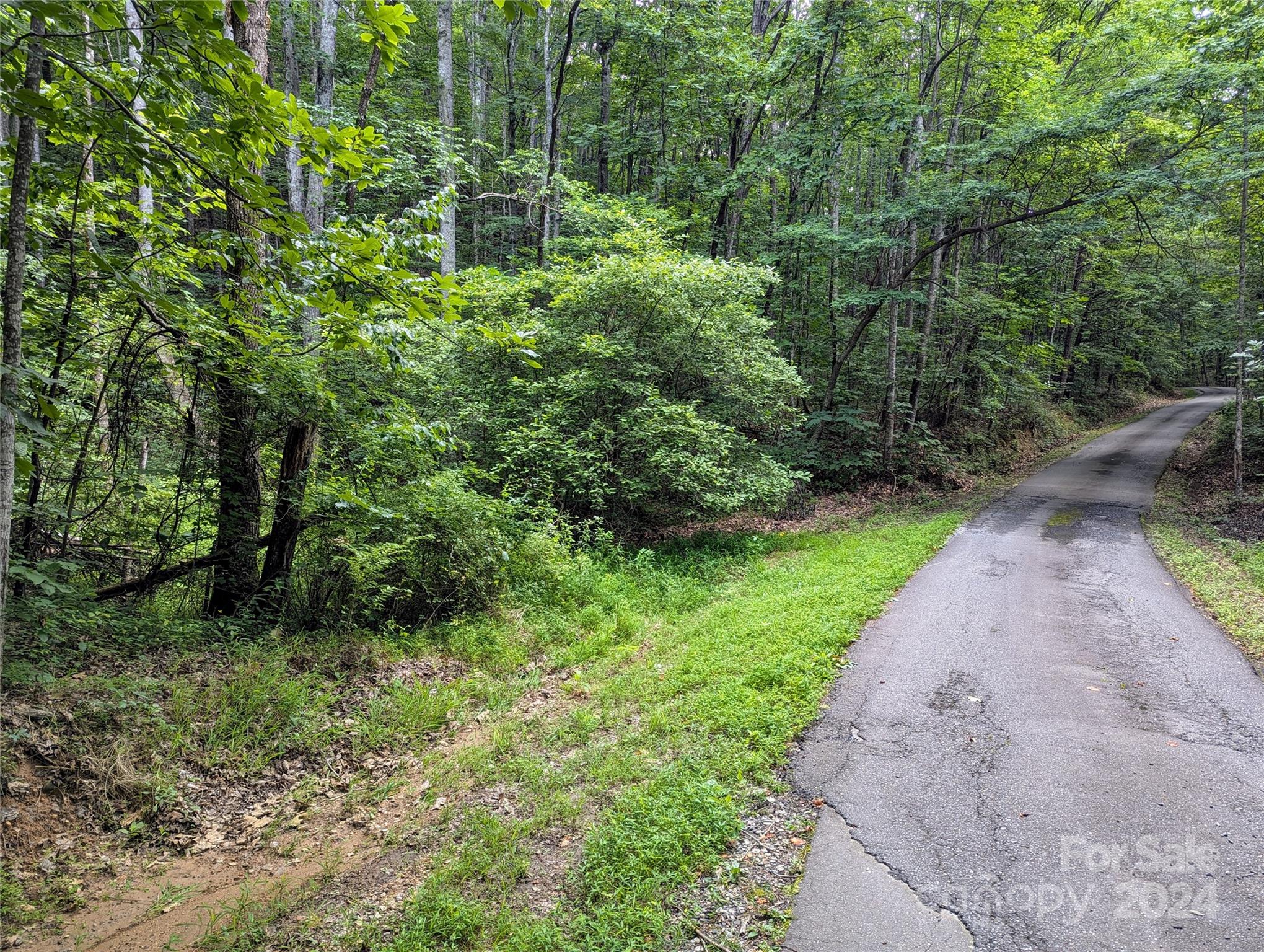 Beautiful 6.51-acre lot nestled into the High Peak Subdivision that offers a great build spot area nestled into the mountain, a small mountain spring running through the middle of the property. This private gated community offers picturesque mountain views while driving through and a mountain feel. The majority of the land is fairly sloped but offers a gently rolling area that would be perfect for your dream home or mountain vacation home!
