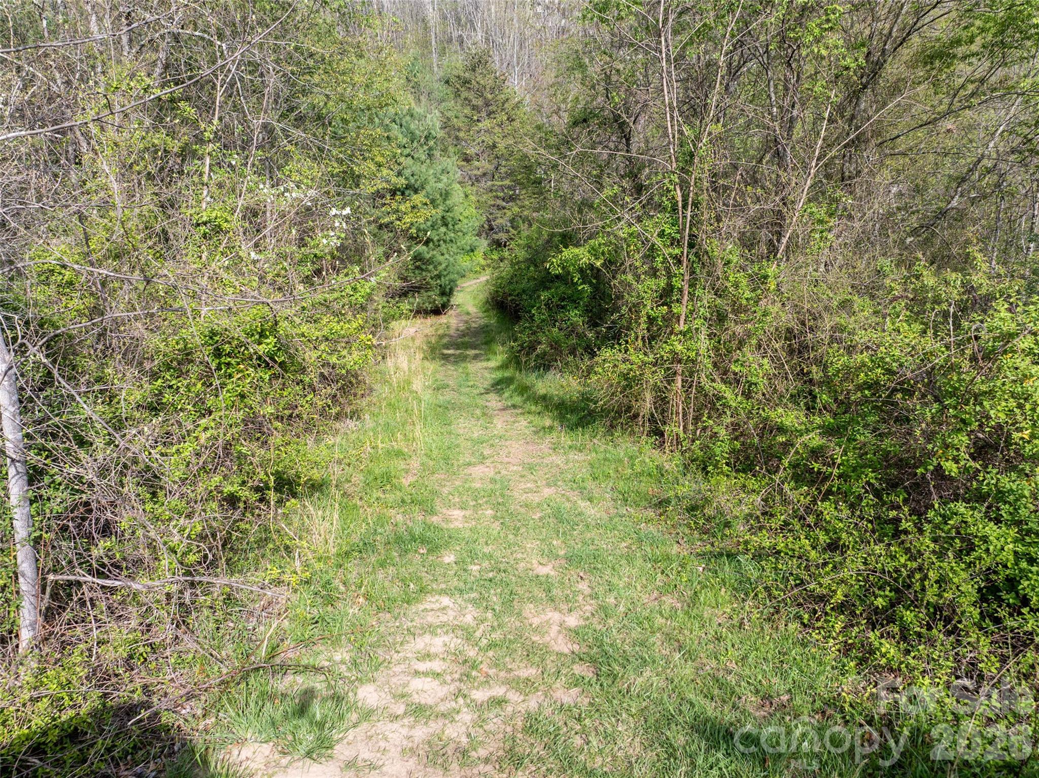 Hyder Mountain Acres - Land