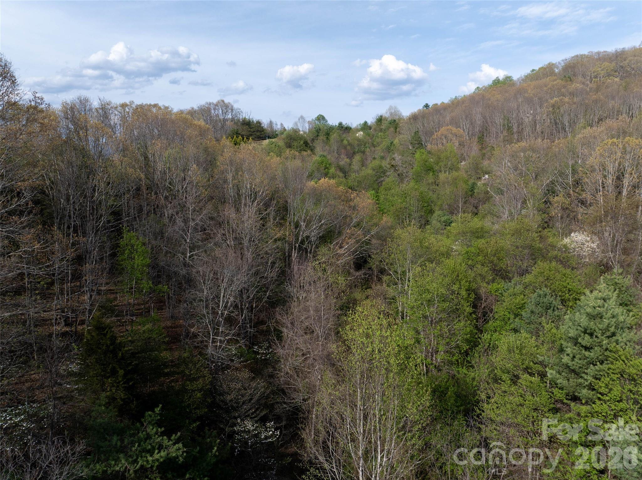 Hyder Mountain Acres - Land