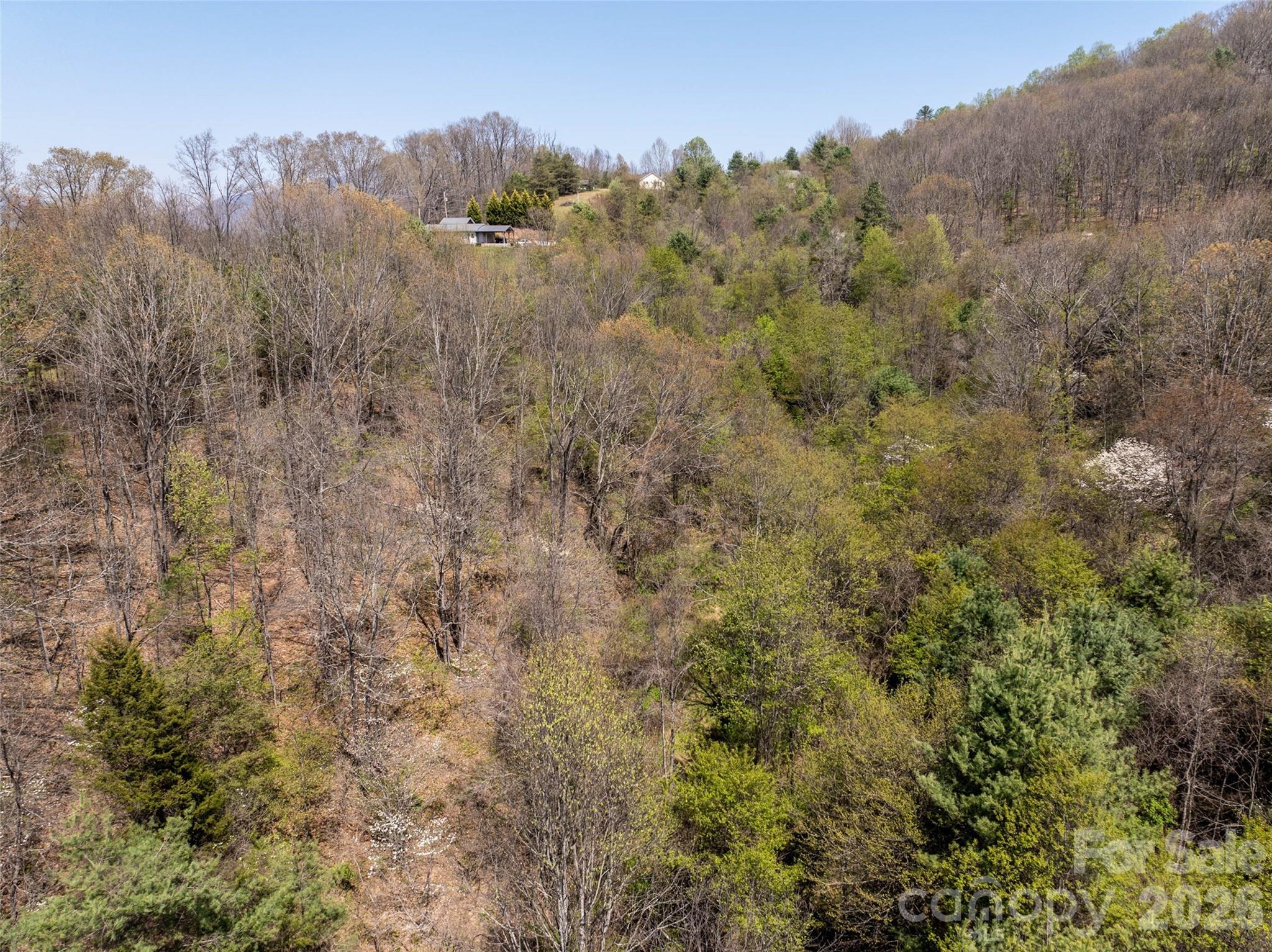 Hyder Mountain Acres - Land