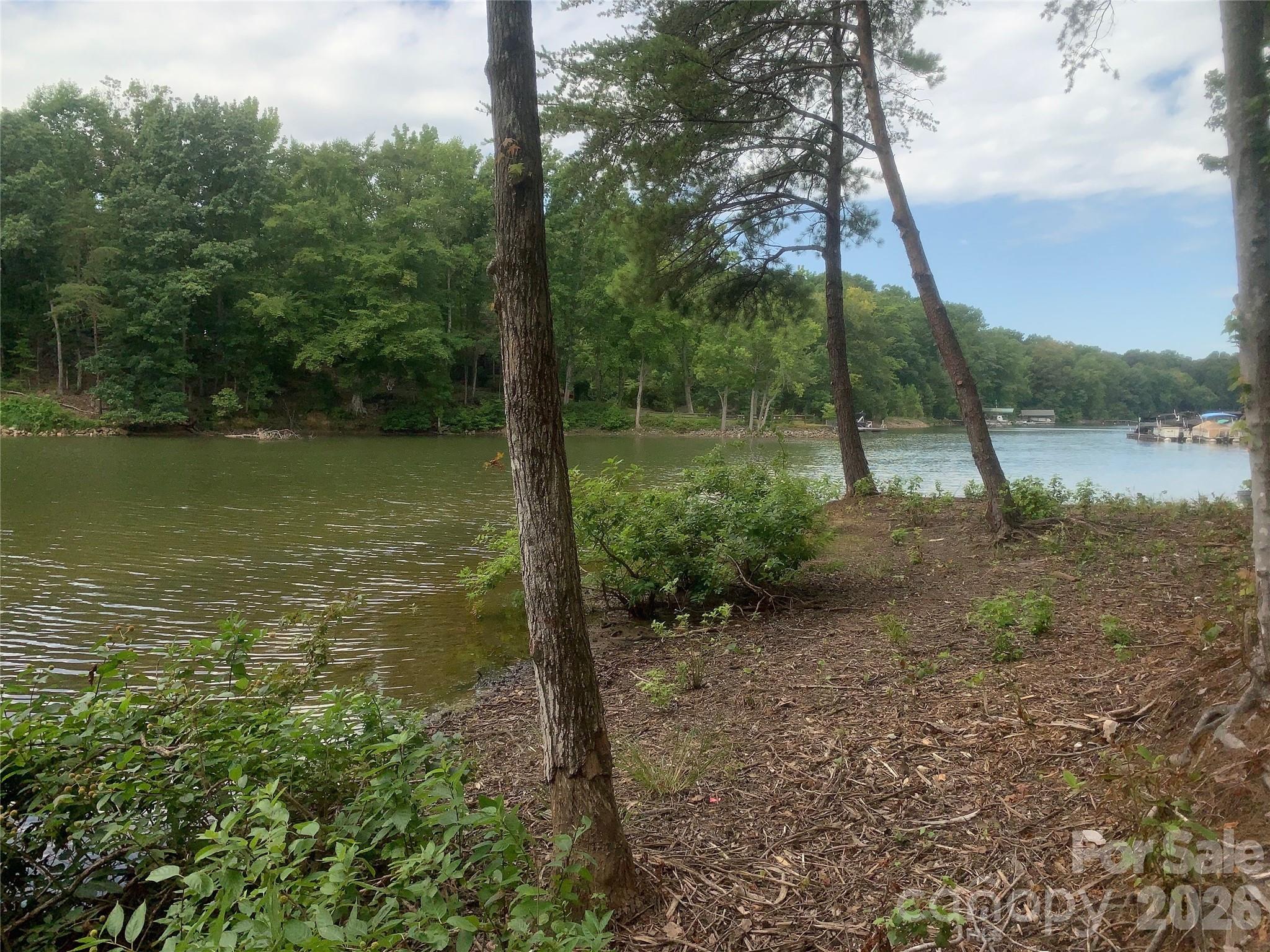 Shavenders Bluff - Land