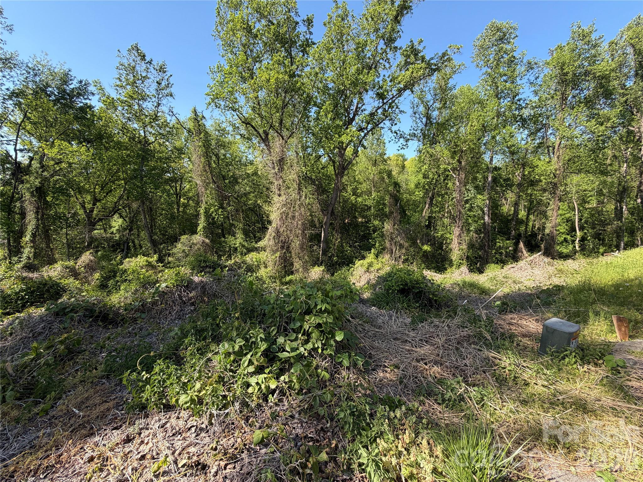 Edgewood Park - Land
