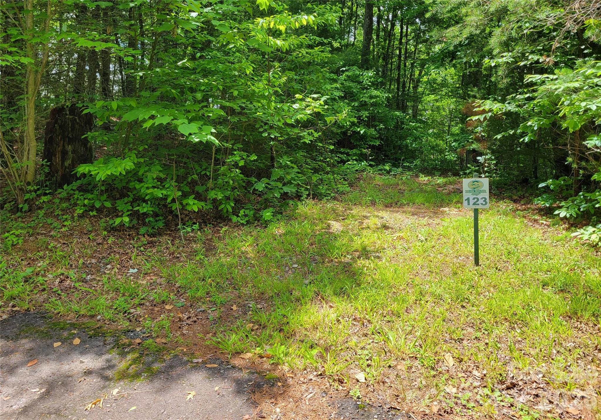 Don’t miss this rare opportunity to own two adjoining lots totaling 5 private, buildable acres in the exclusive, gated Bear River Lodge community a 320-acre mountain retreat nestled in the heart of Pisgah National Forest, just five miles from Hot Springs, NC. Lots 123 and 124 offer the perfect blend of seclusion and accessibility. Lot 123 sits at the end of a private drive and is heavily forested with year-round long-range mountain views. Lot 124  is located just off the main paved road at the quiet southern end of the neighborhood, offering several easy-access building sites and exceptional privacy. Bear River Lodge is pet-friendly, walkable, and bordered by the stunning Big Laurel Creek — ideal for fly fishing or cooling off on a warm day. Enjoy access to the community lodge for events, reading, or playing pool in a tranquil setting surrounded by the Blue Ridge Mountains. Whether you're dreaming of a single expansive estate or two custom homes, the building potential here is endless.