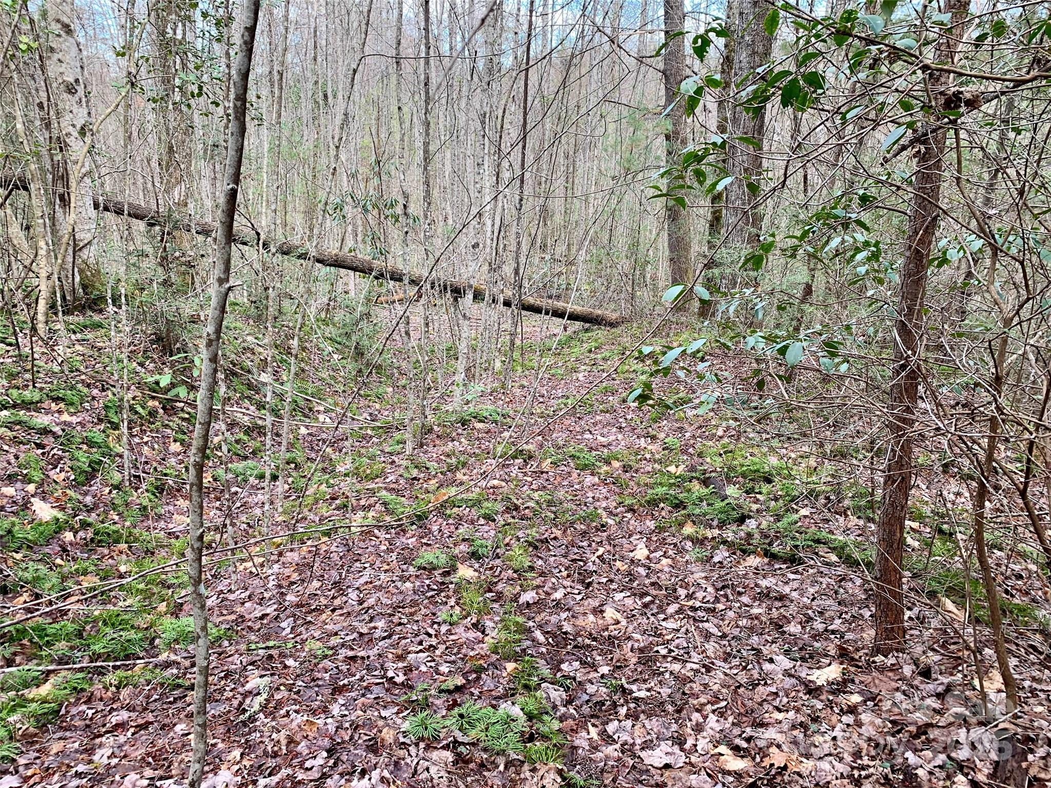 Round Mountain Falls - Land