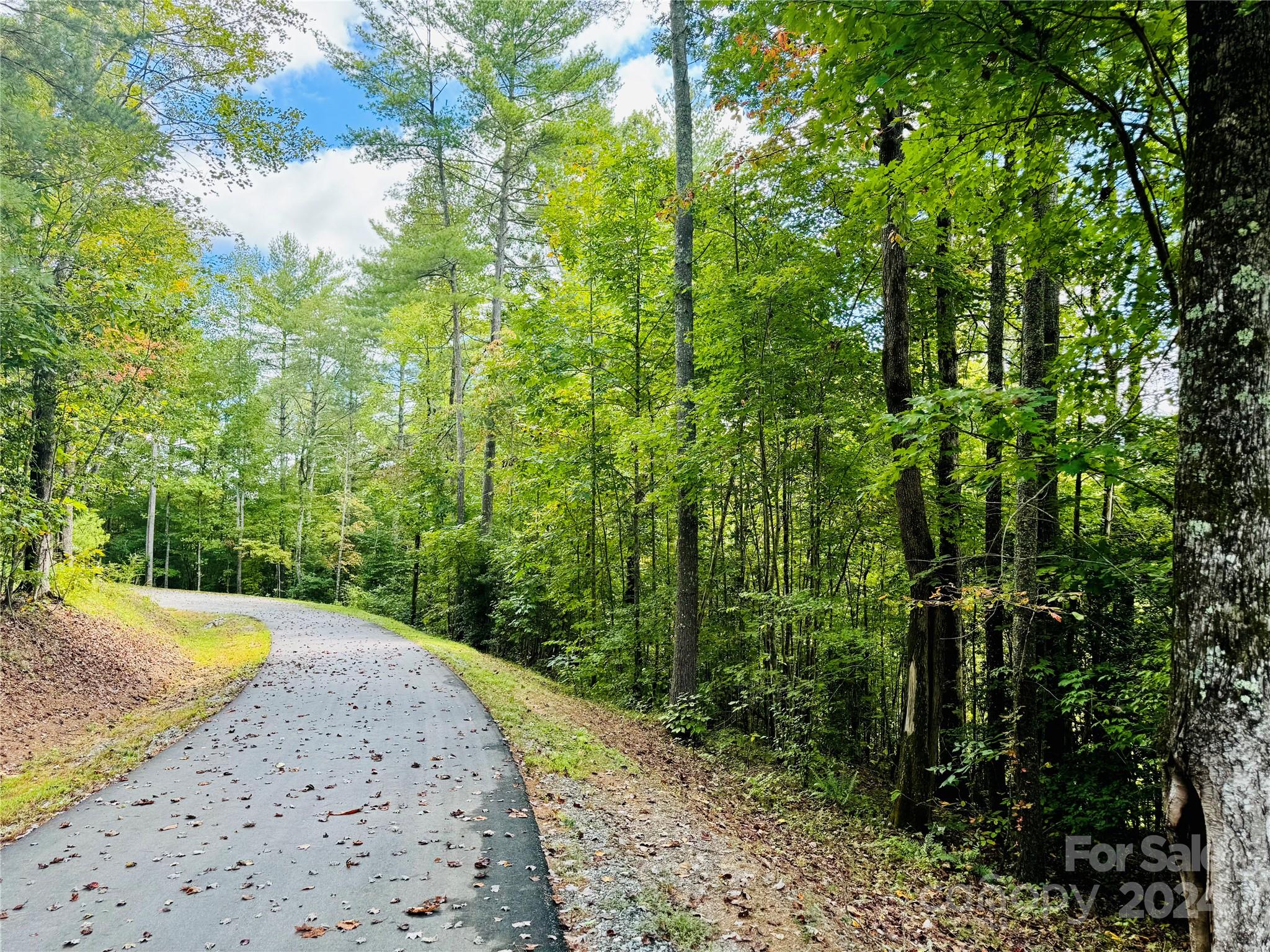 The Coves Mountain River Club - Land