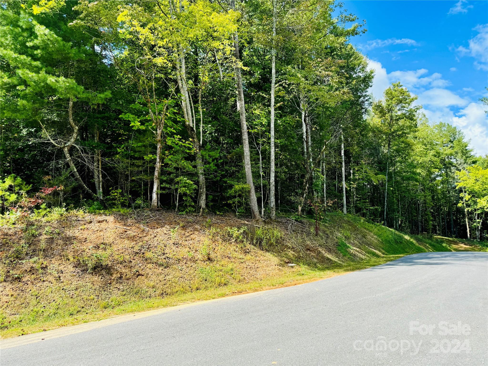 The Coves Mountain River Club - Land