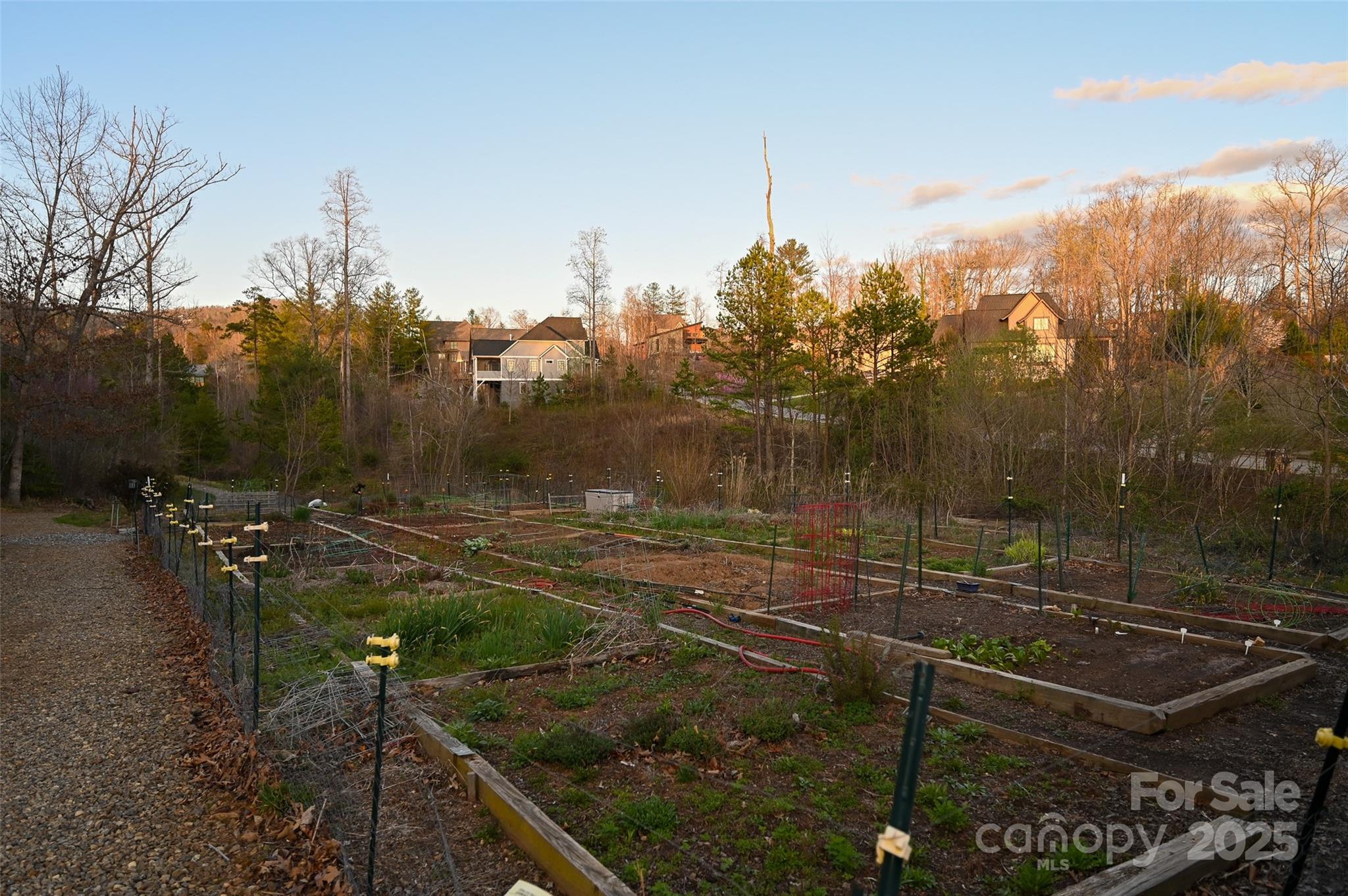Thoms Estate - Land
