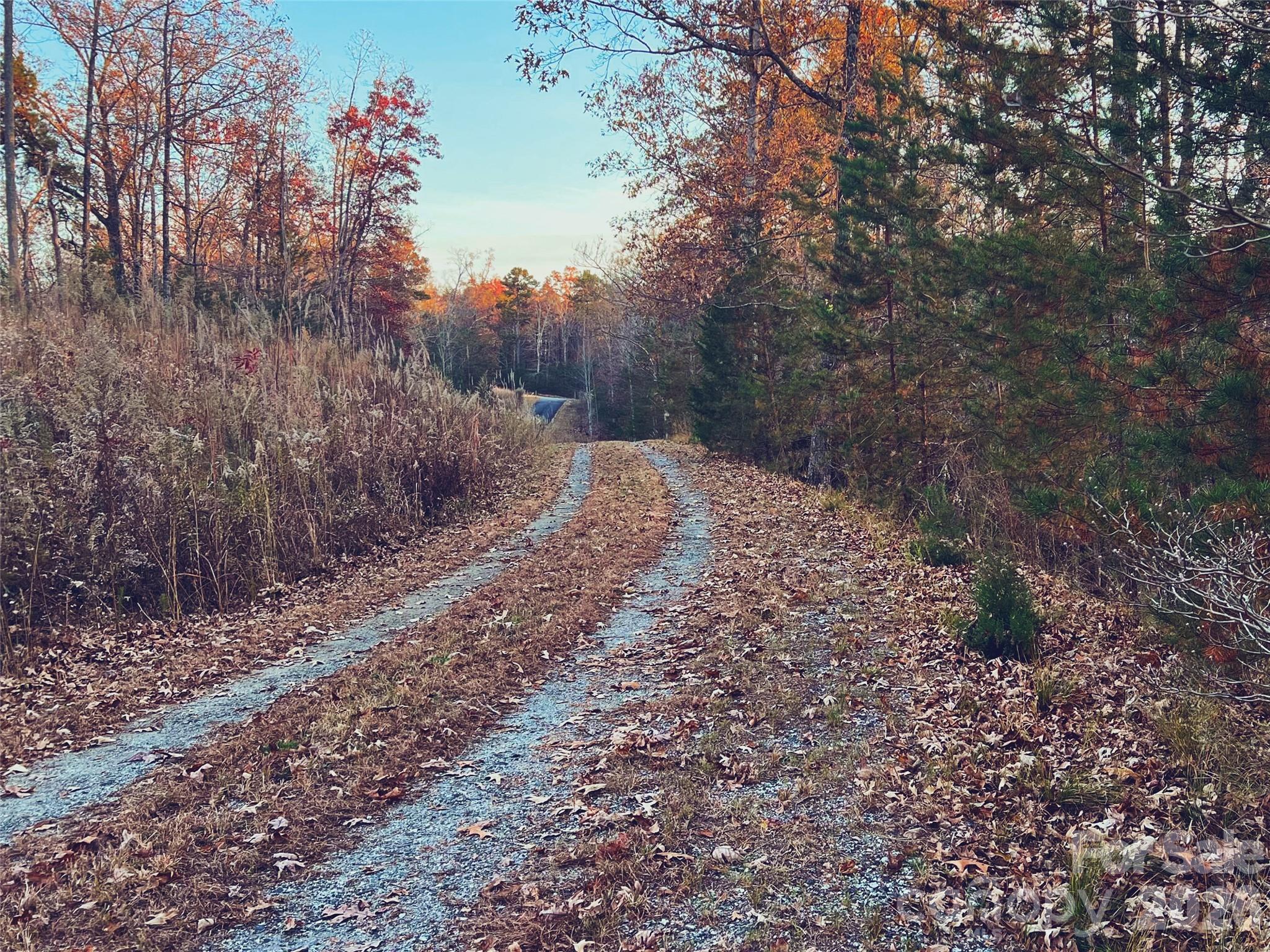 OLE PLANTATION - Land