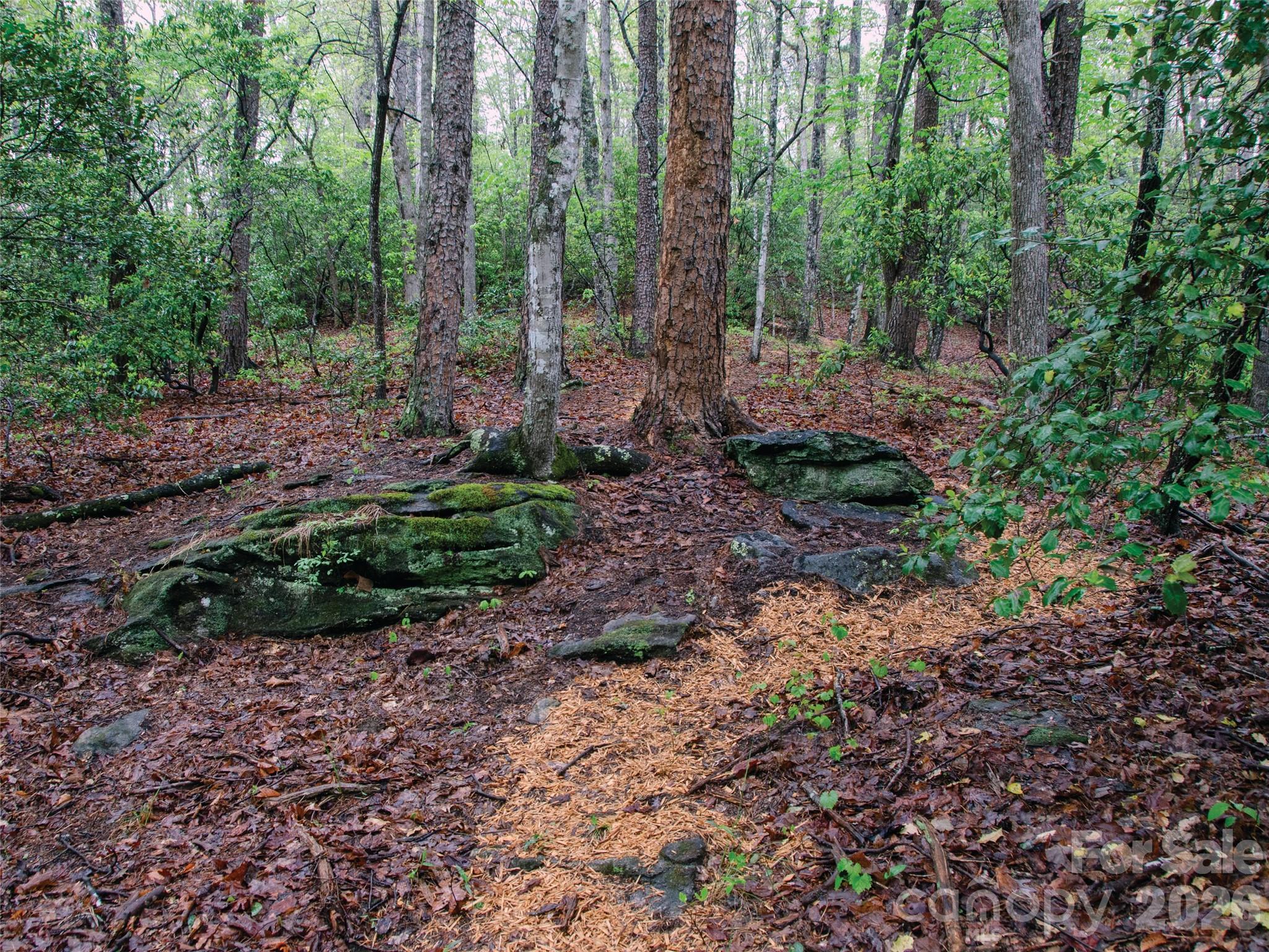 OLE PLANTATION - Land