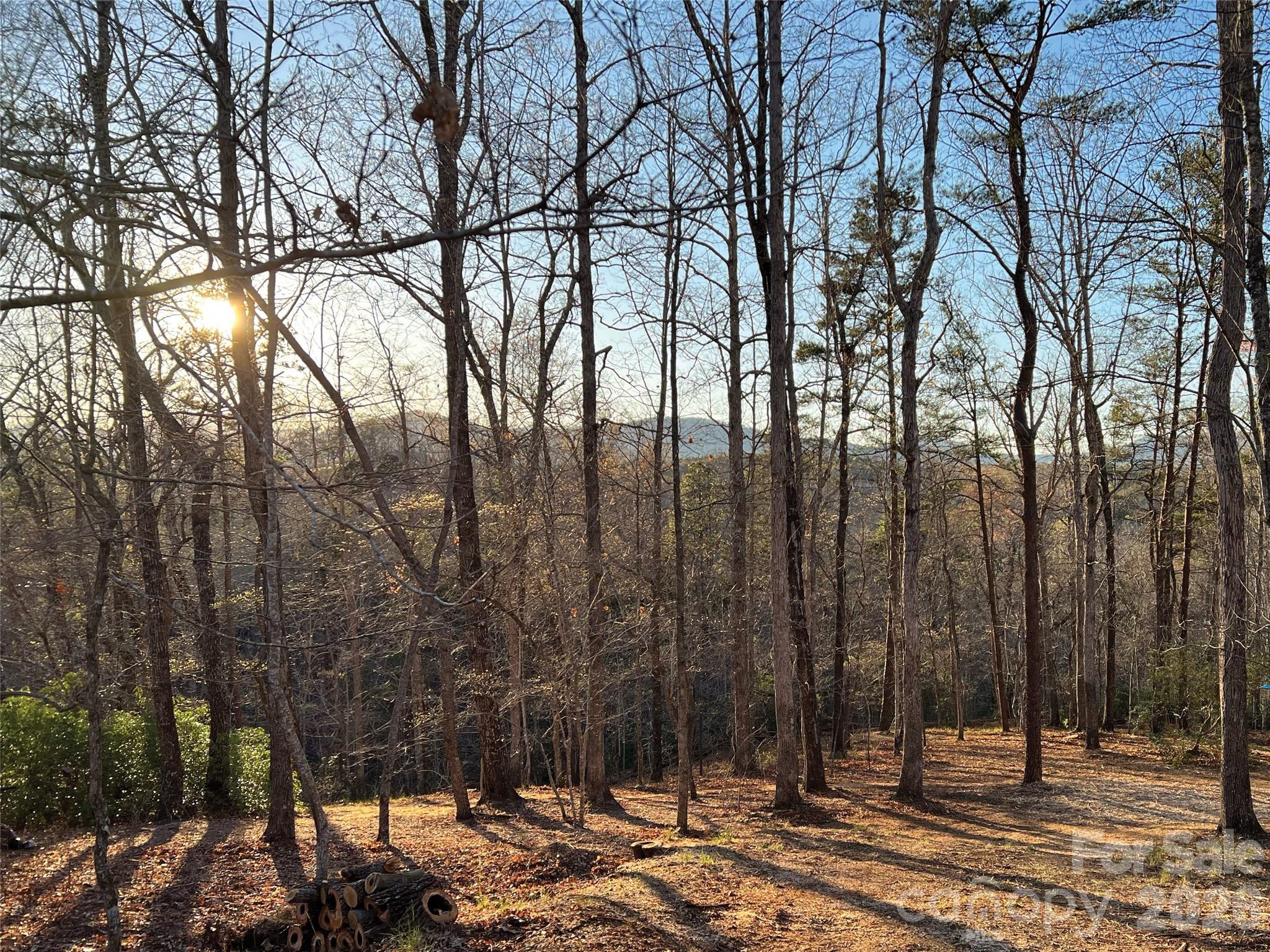 OLE PLANTATION - Land