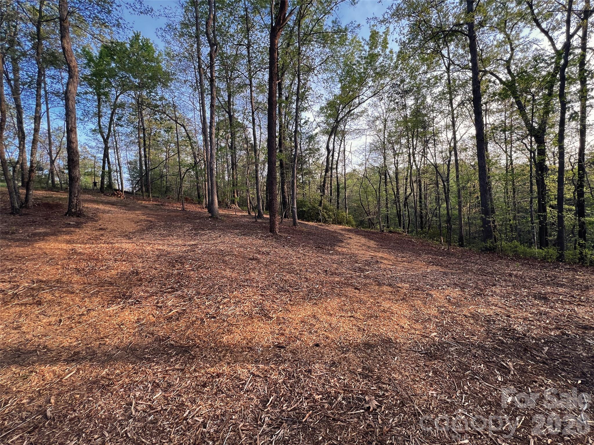 OLE PLANTATION - Land