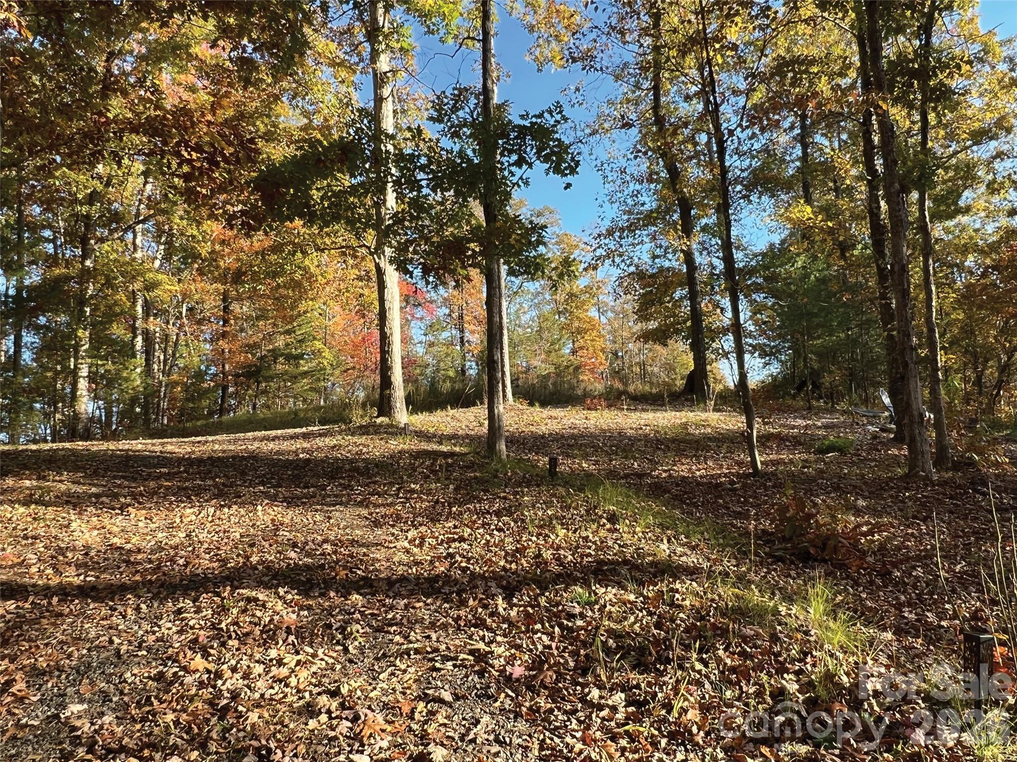 OLE PLANTATION - Land