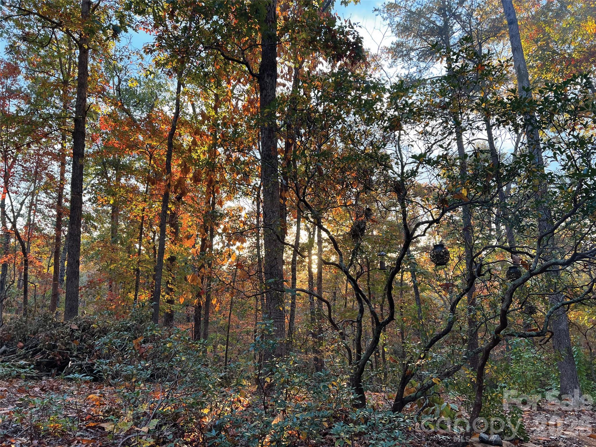 OLE PLANTATION - Land
