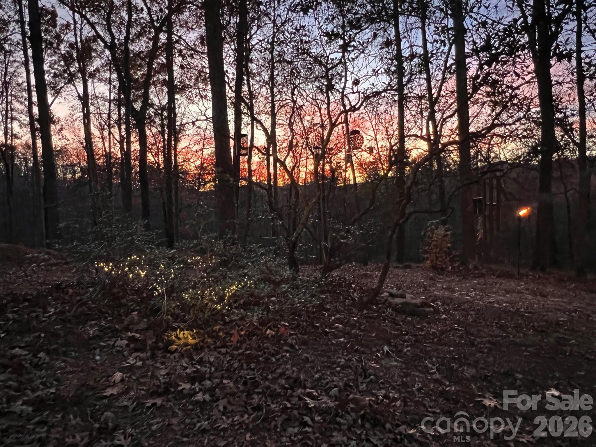 OLE PLANTATION - Land