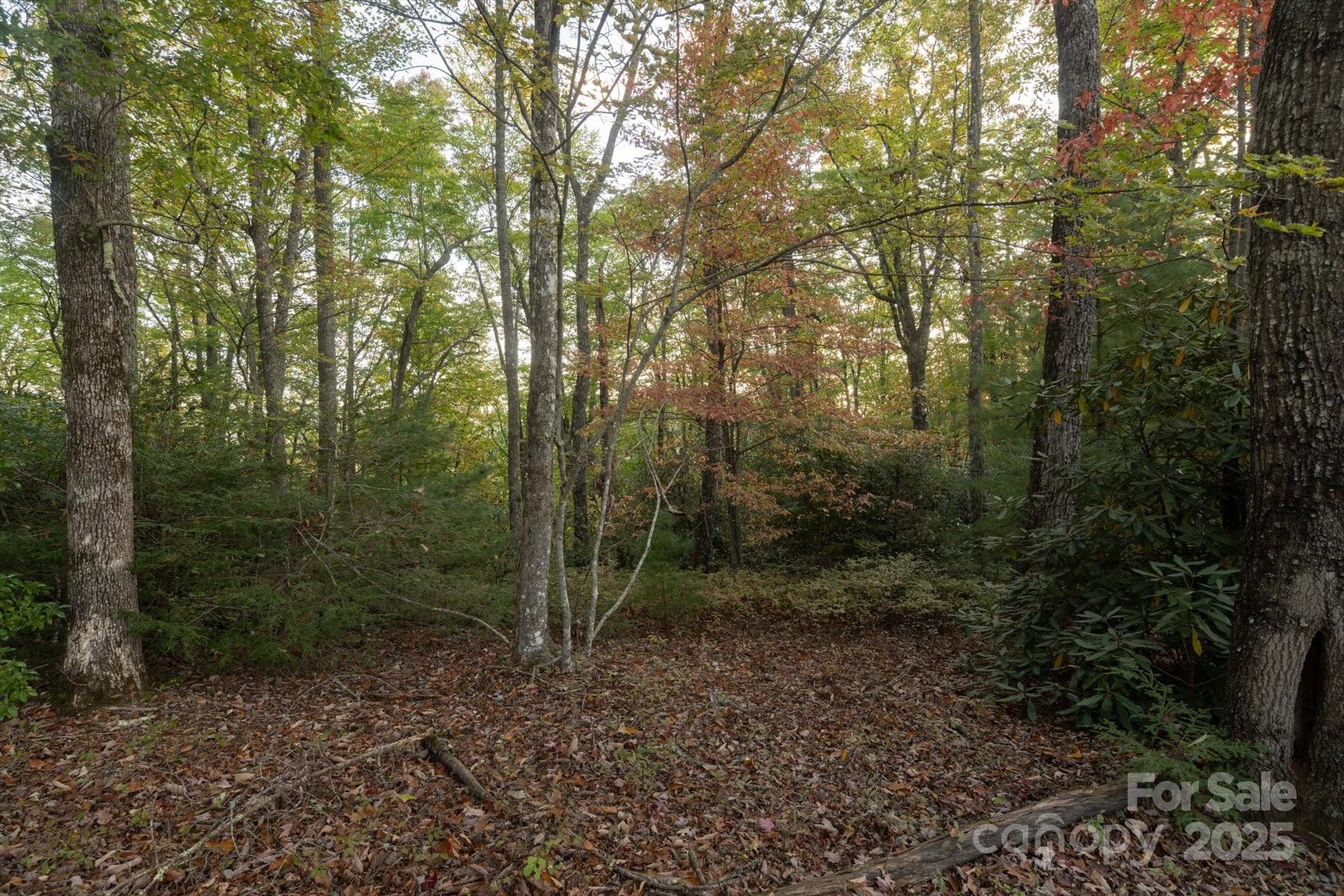Straus Park - Land