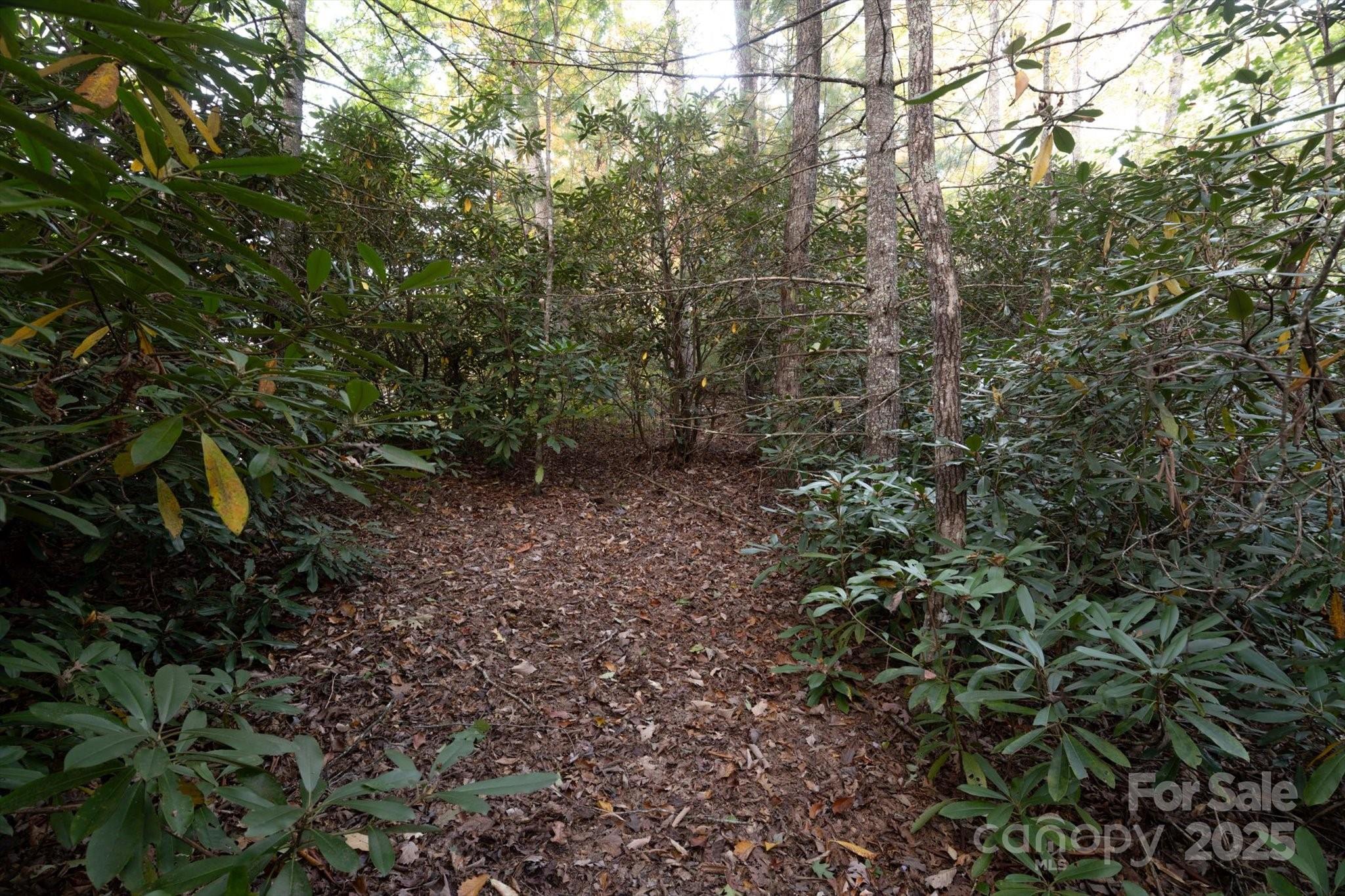 Straus Park - Land