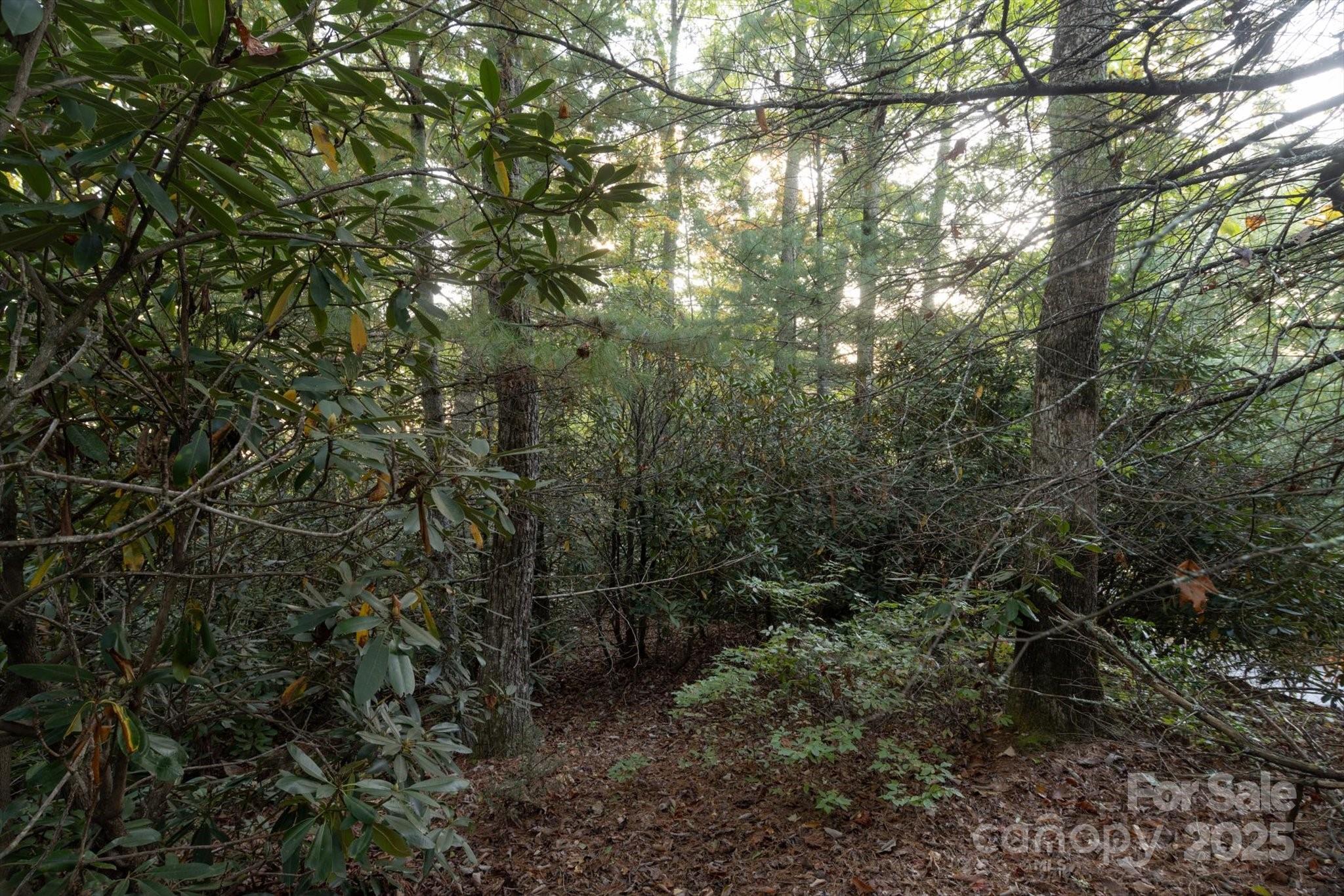 Straus Park - Land