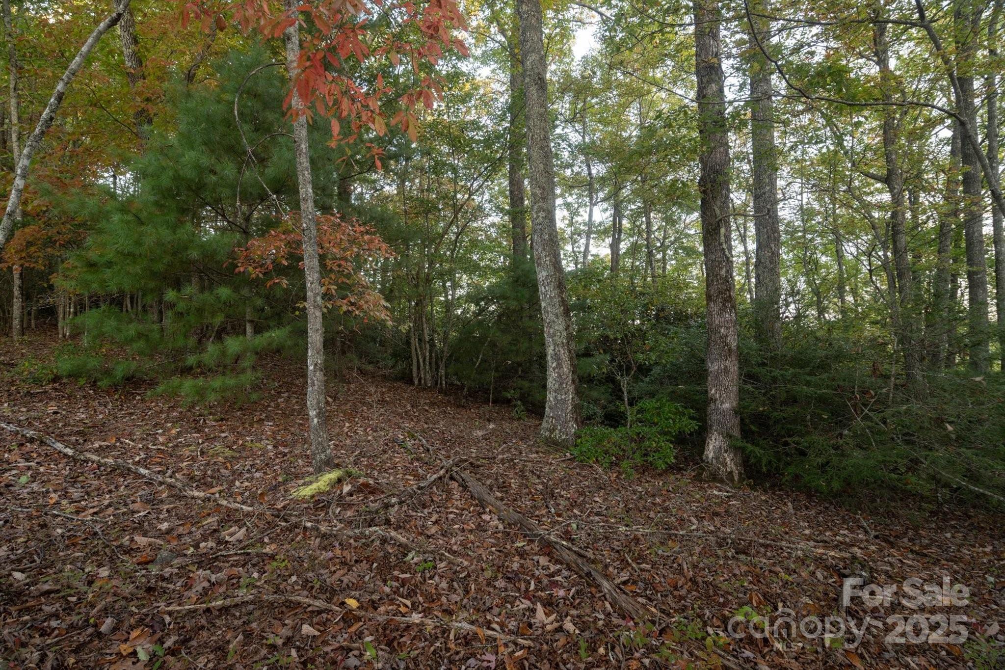 Straus Park - Land