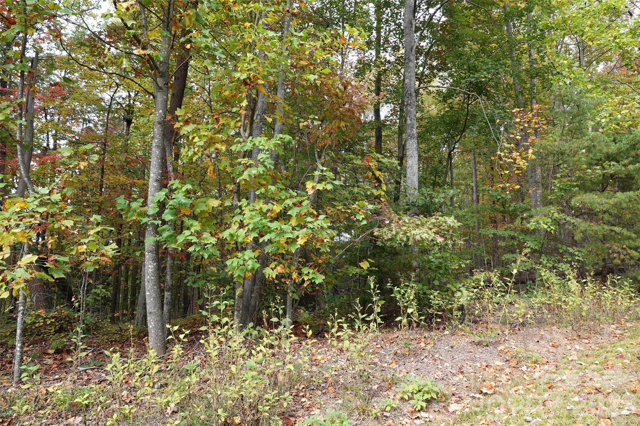 Golden Valley Estates - Land