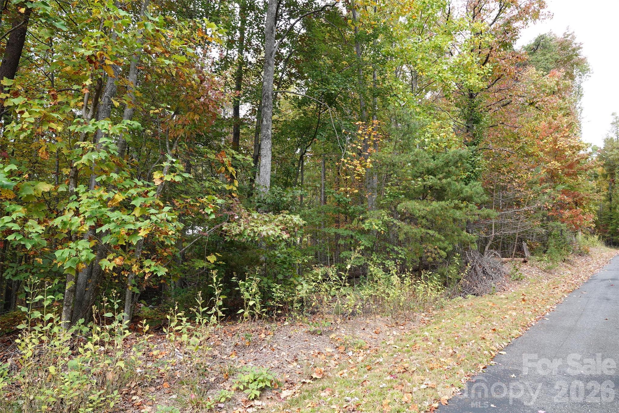 Golden Valley Estates - Land