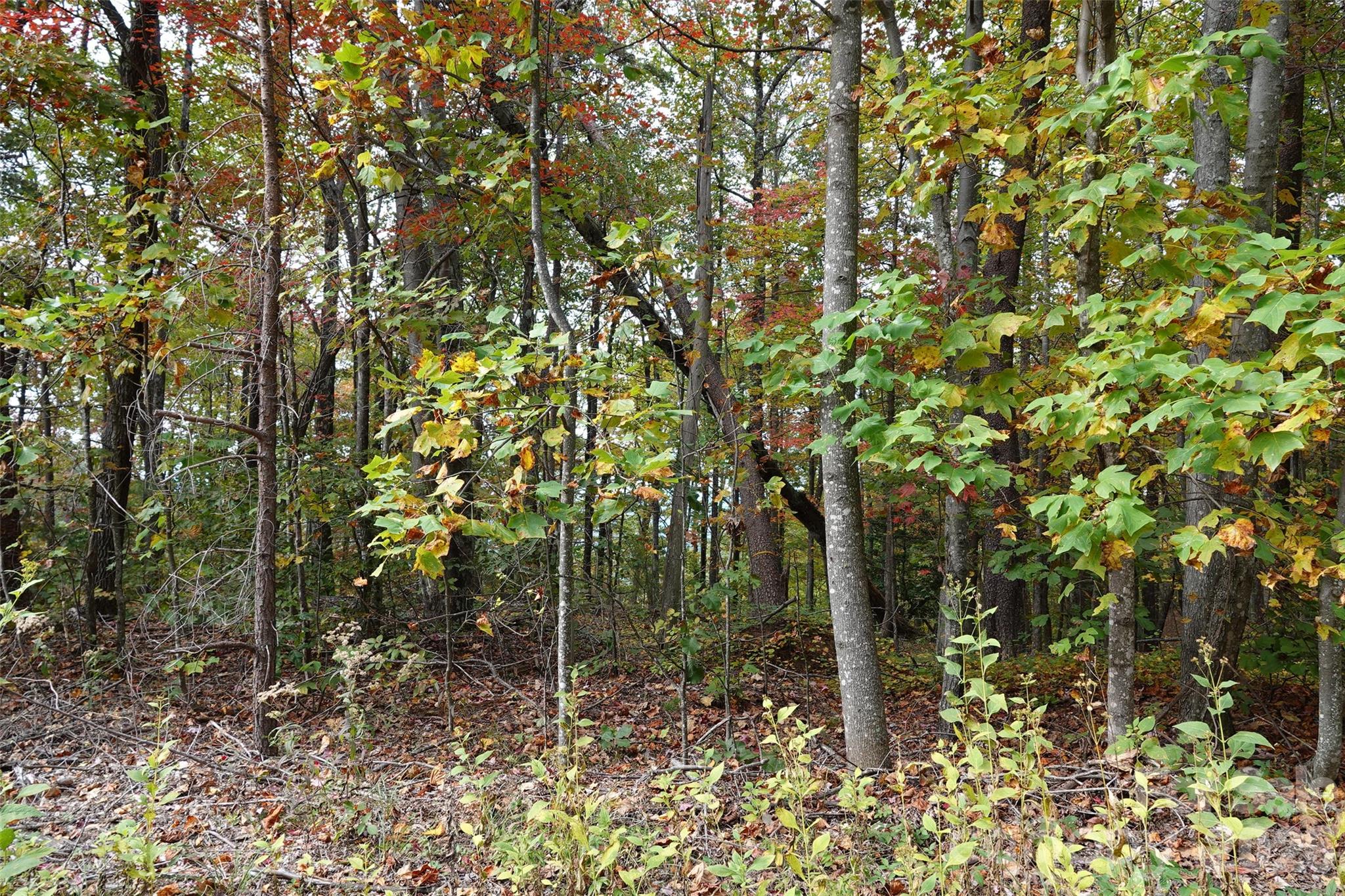 Golden Valley Estates - Land