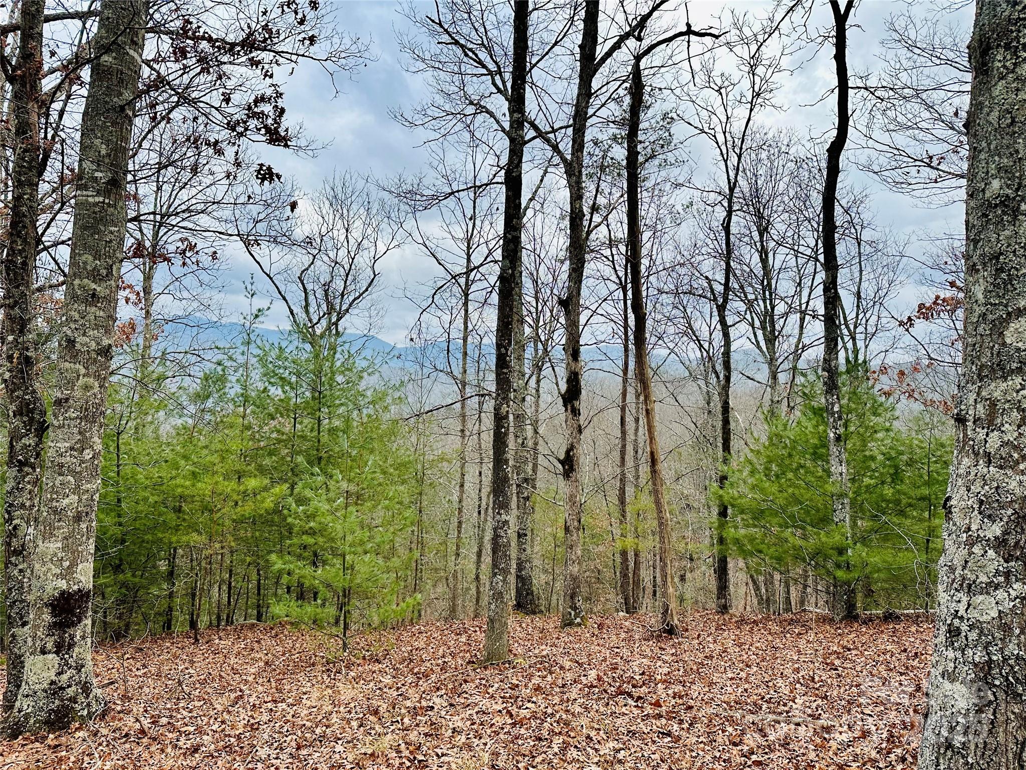 French Broad Crossing - Land