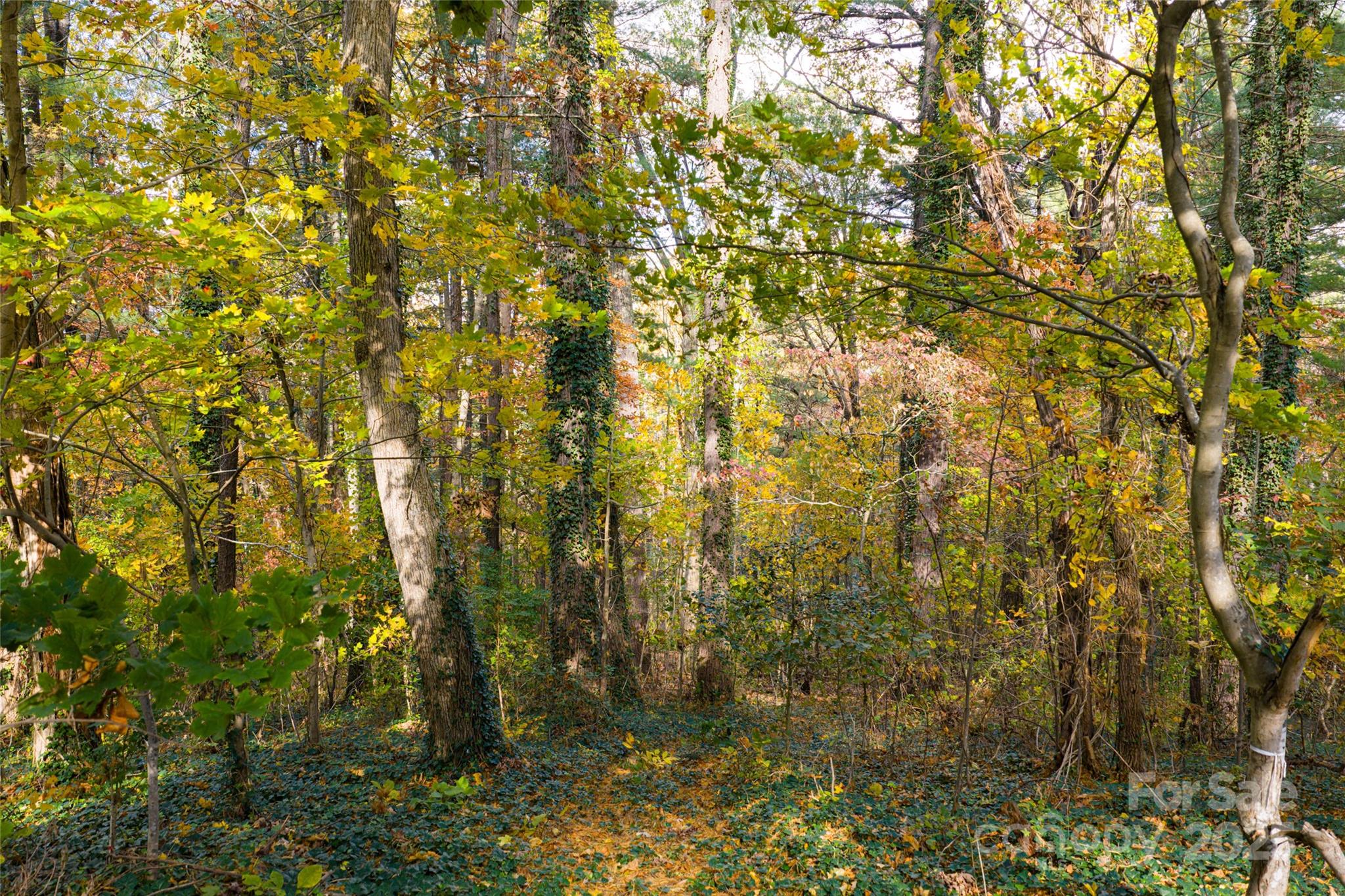 Lakeview Park - Land