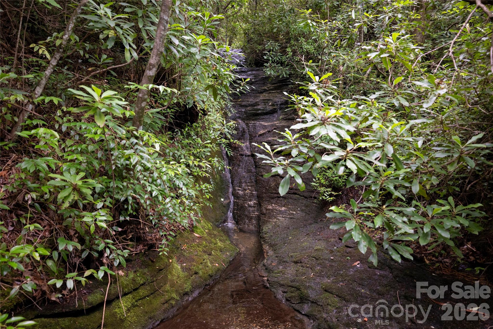 Lake Toxaway Estates - Residential