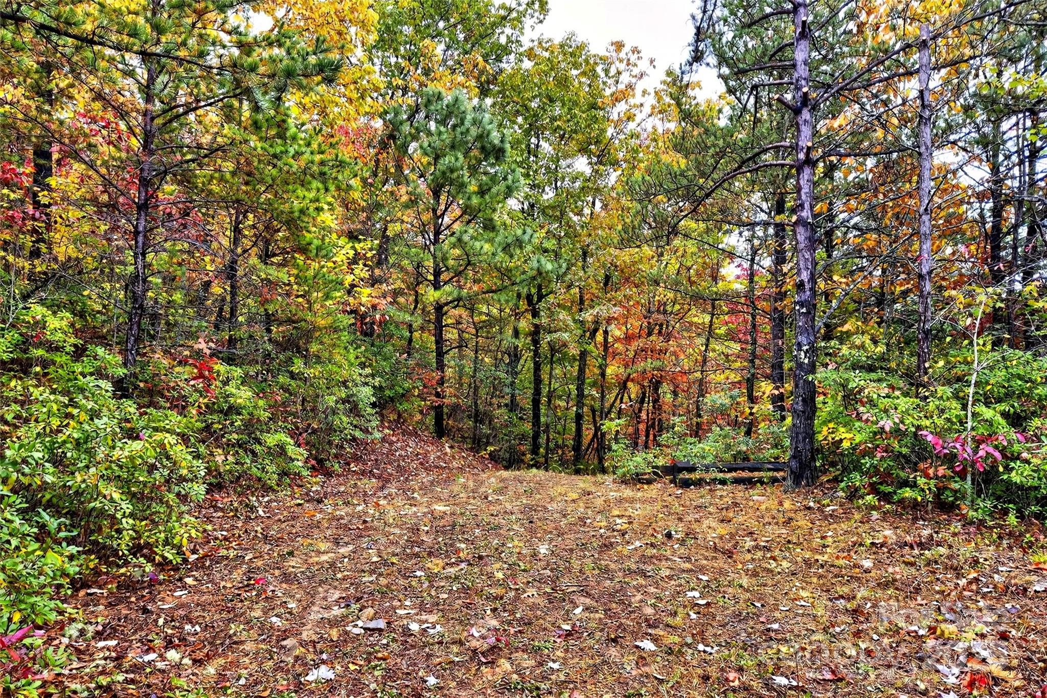 Gateway Mountain - Land