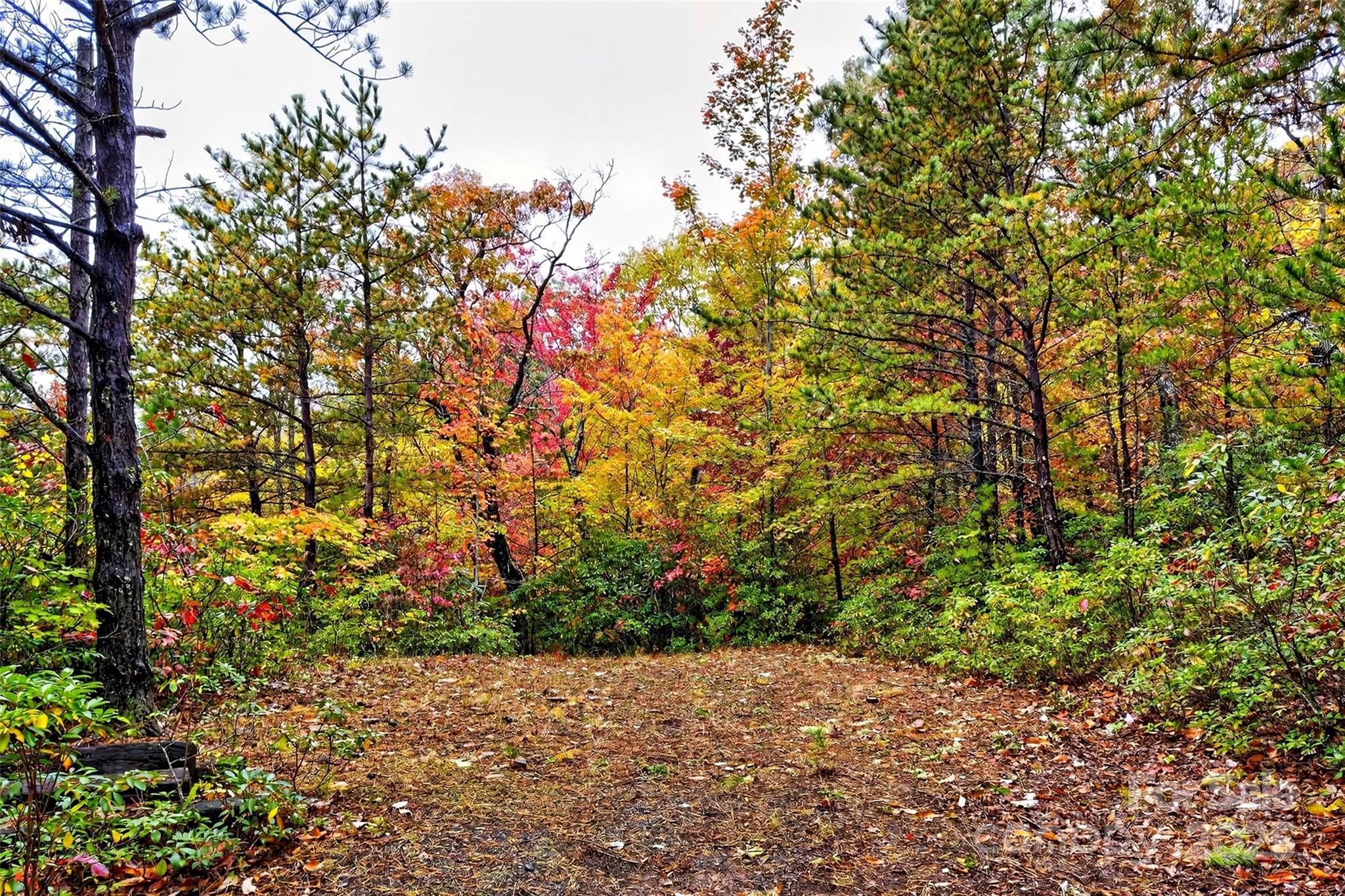 Gateway Mountain - Land
