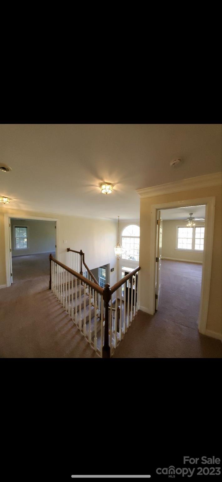 Hamilton Place - Residential