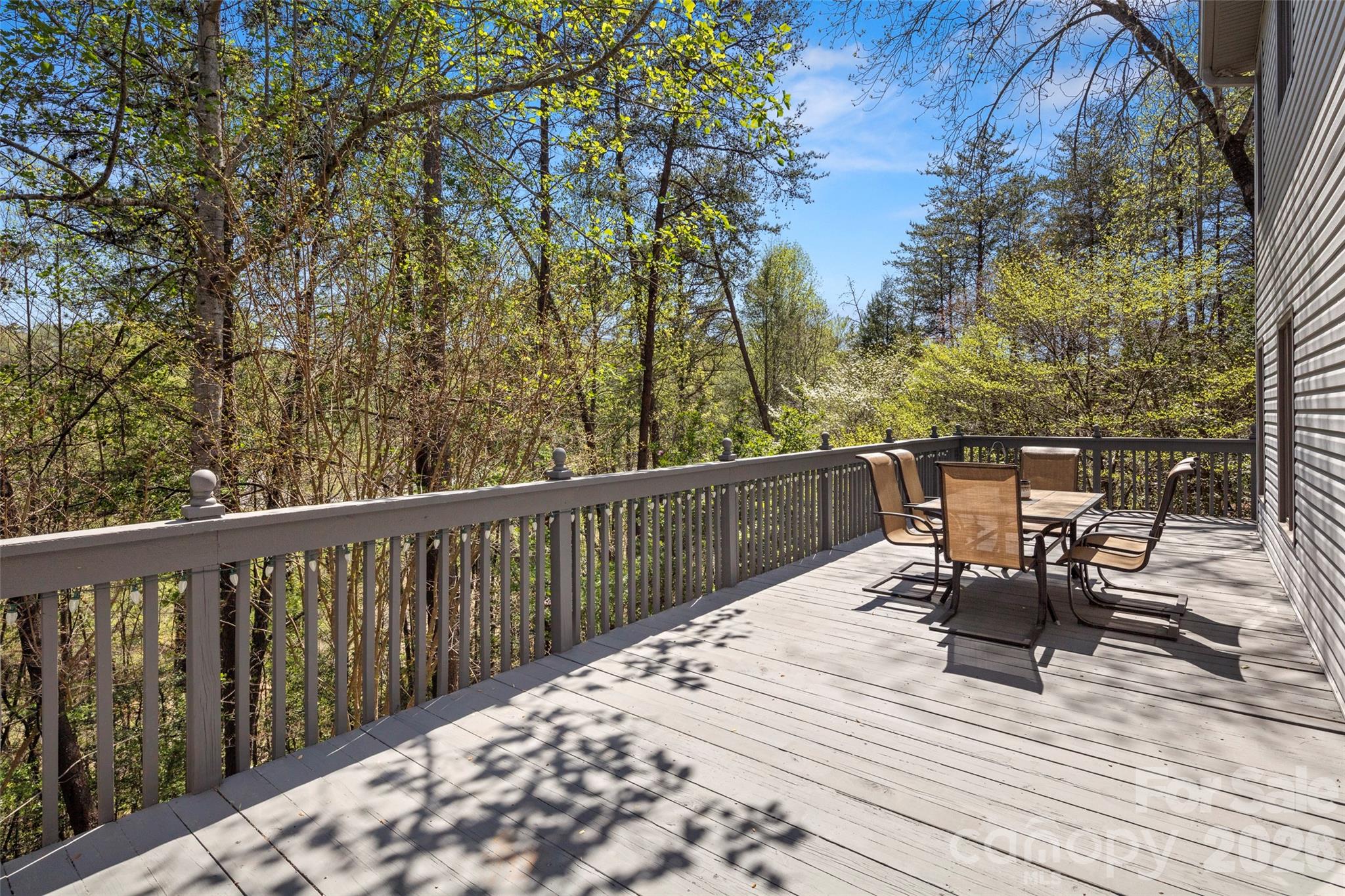 Rumbling Bald on Lake Lure - Residential