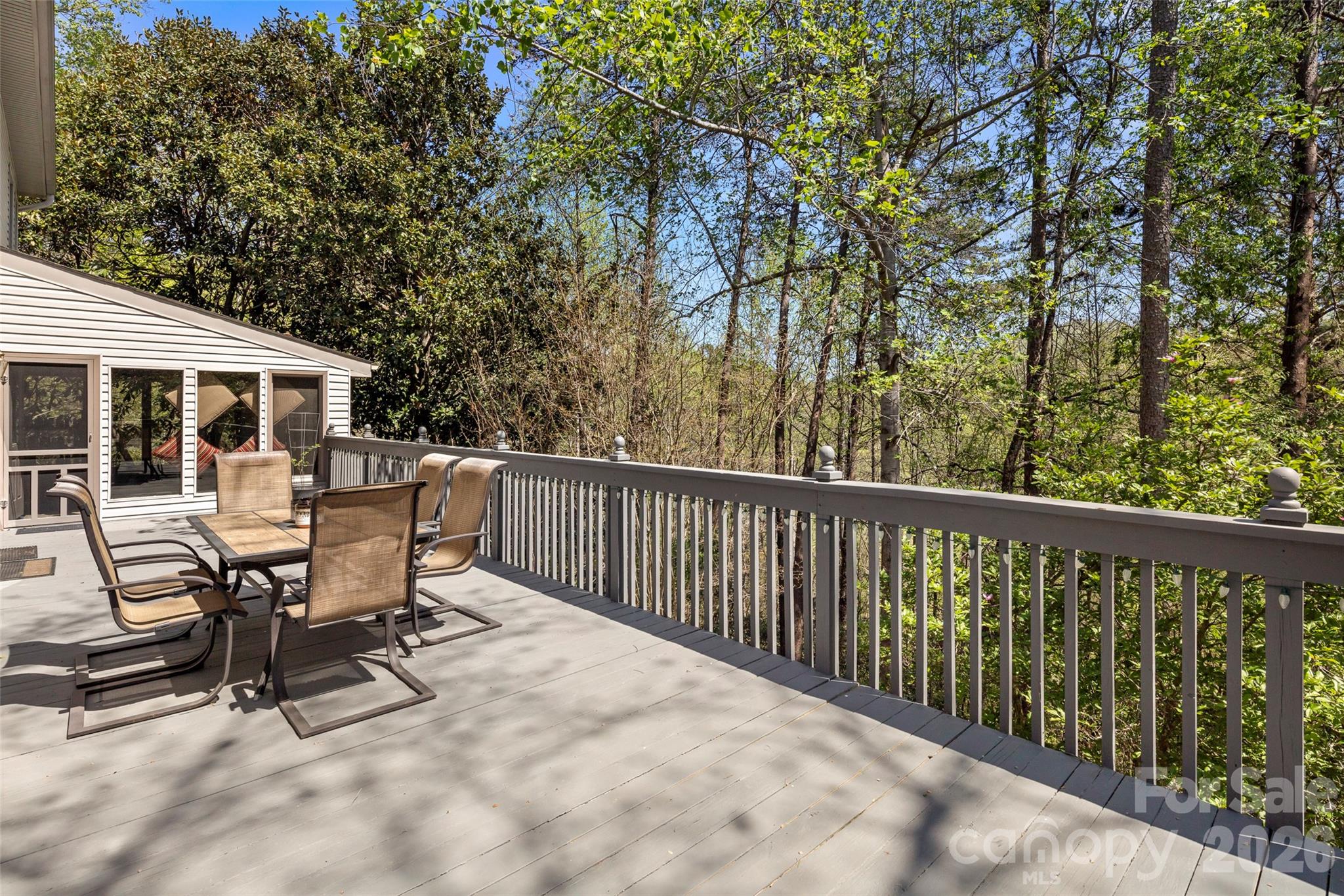 Rumbling Bald on Lake Lure - Residential