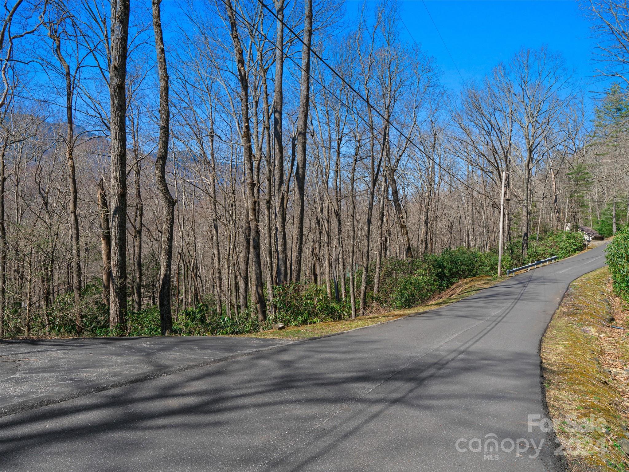 Mt. Mitchell Lands - Land