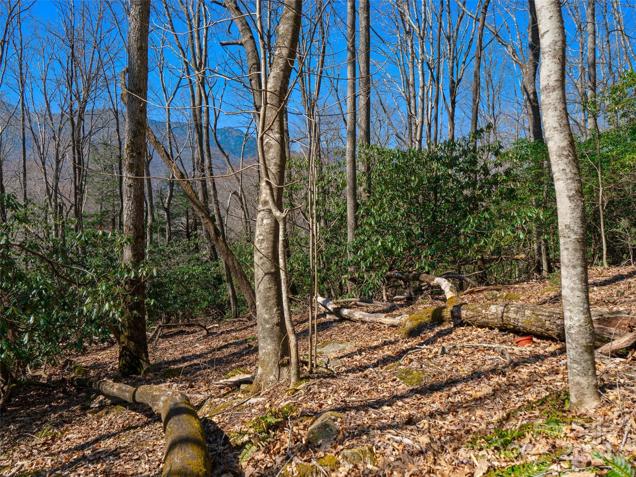 Mt. Mitchell Lands - Land