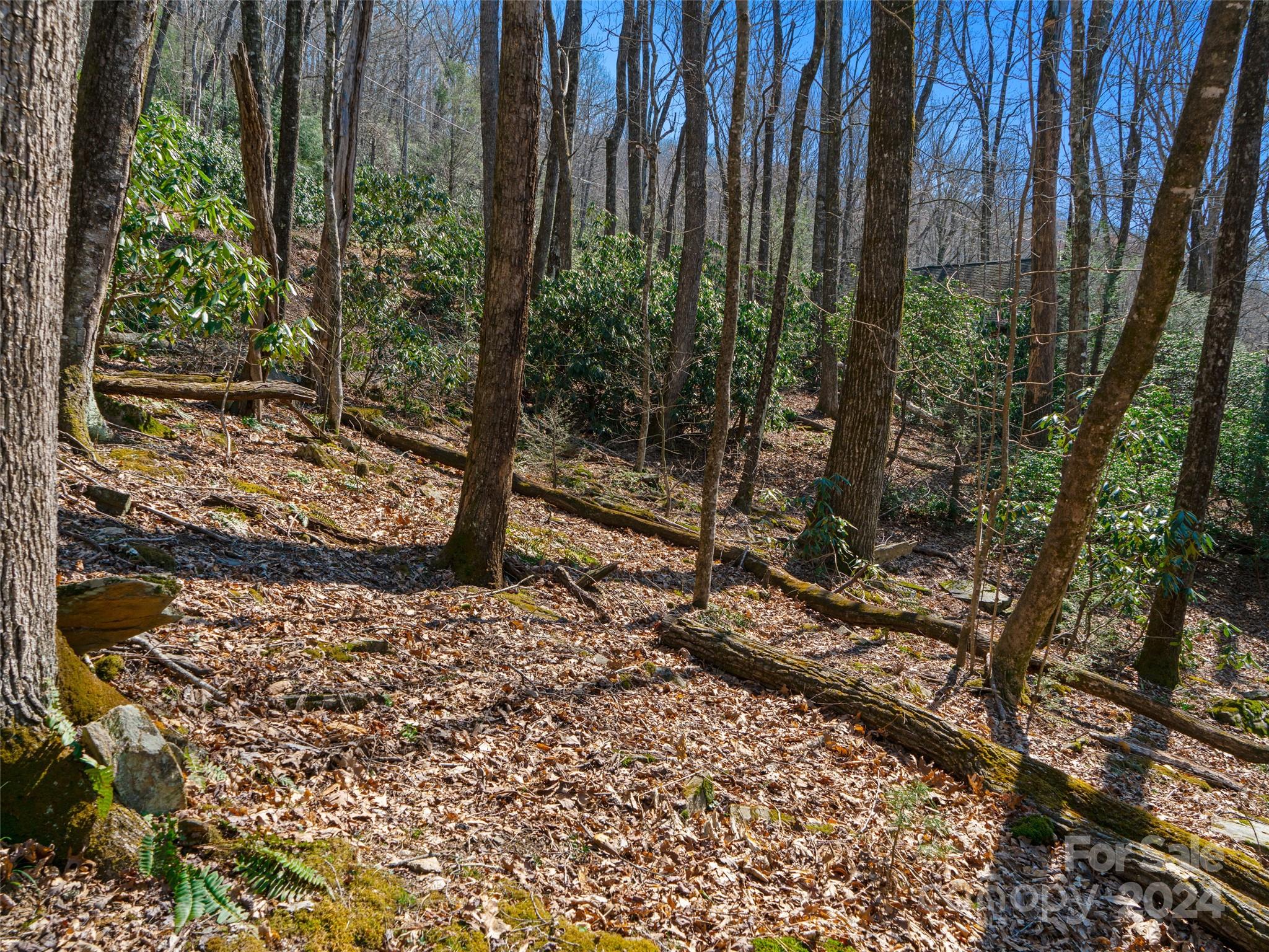 Mt. Mitchell Lands - Land