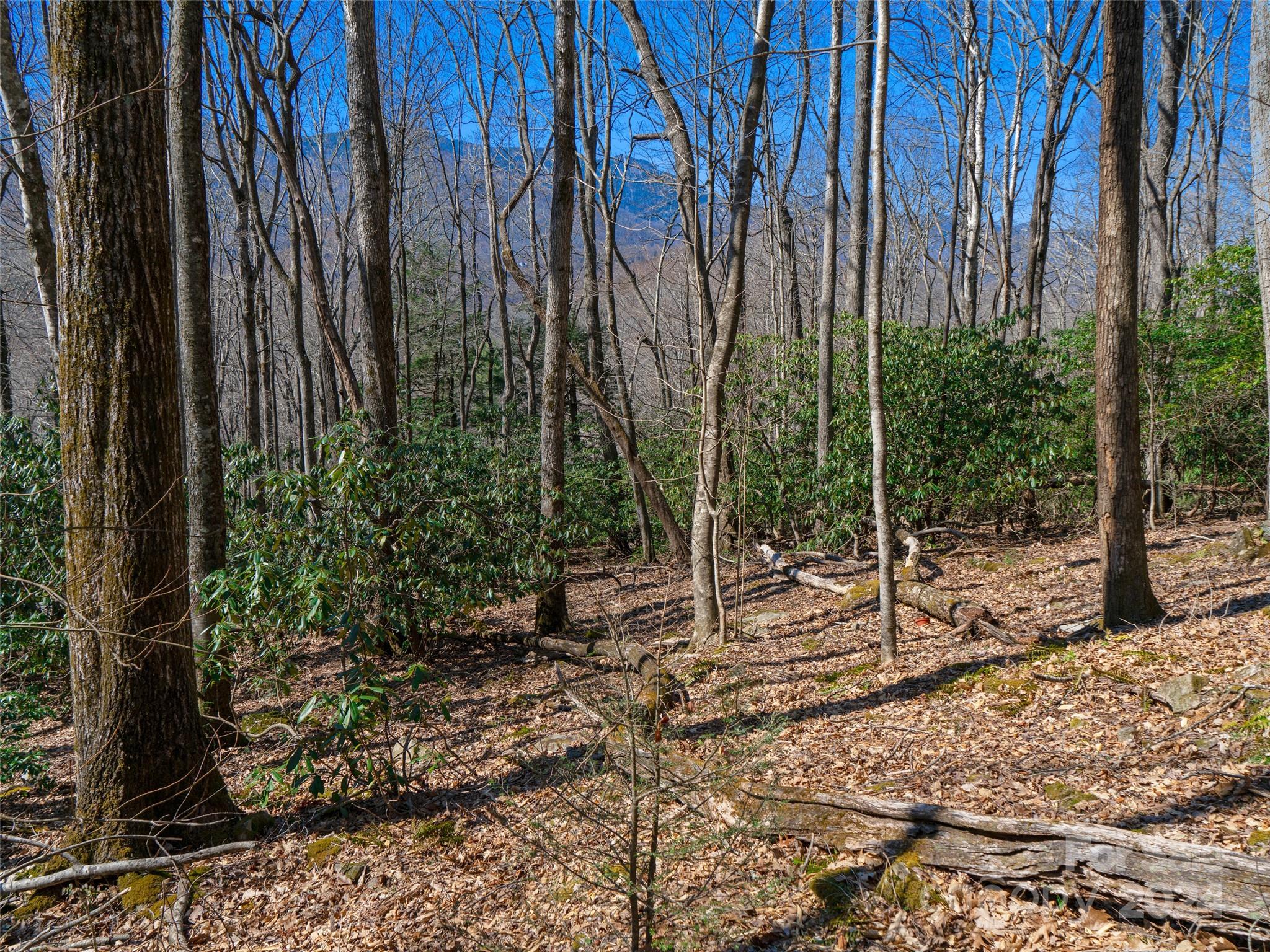 Mt. Mitchell Lands - Land