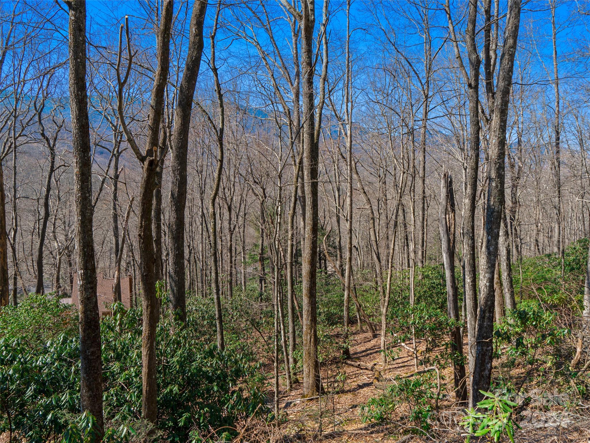 Mt. Mitchell Lands - Land