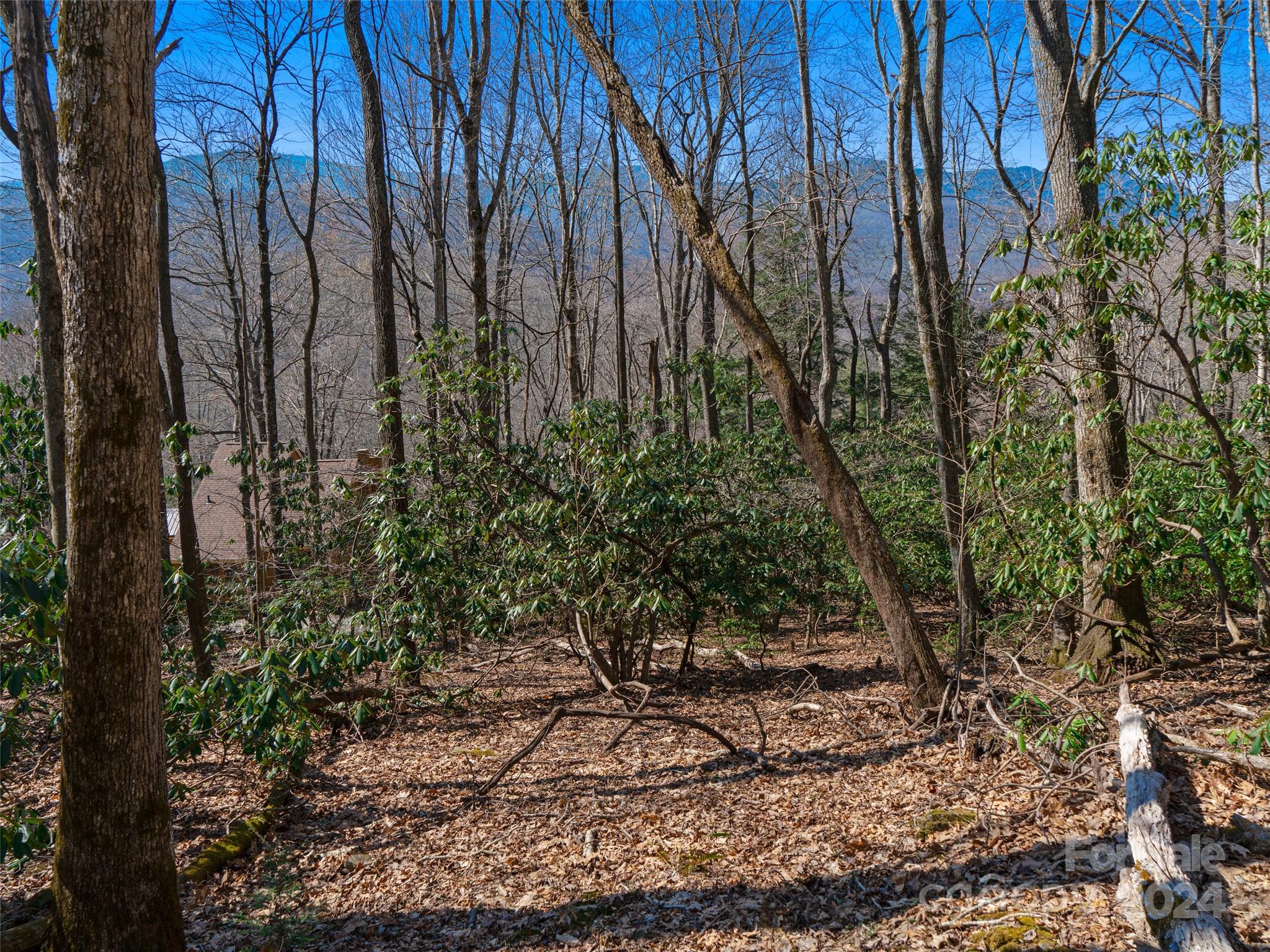 Mt. Mitchell Lands - Land