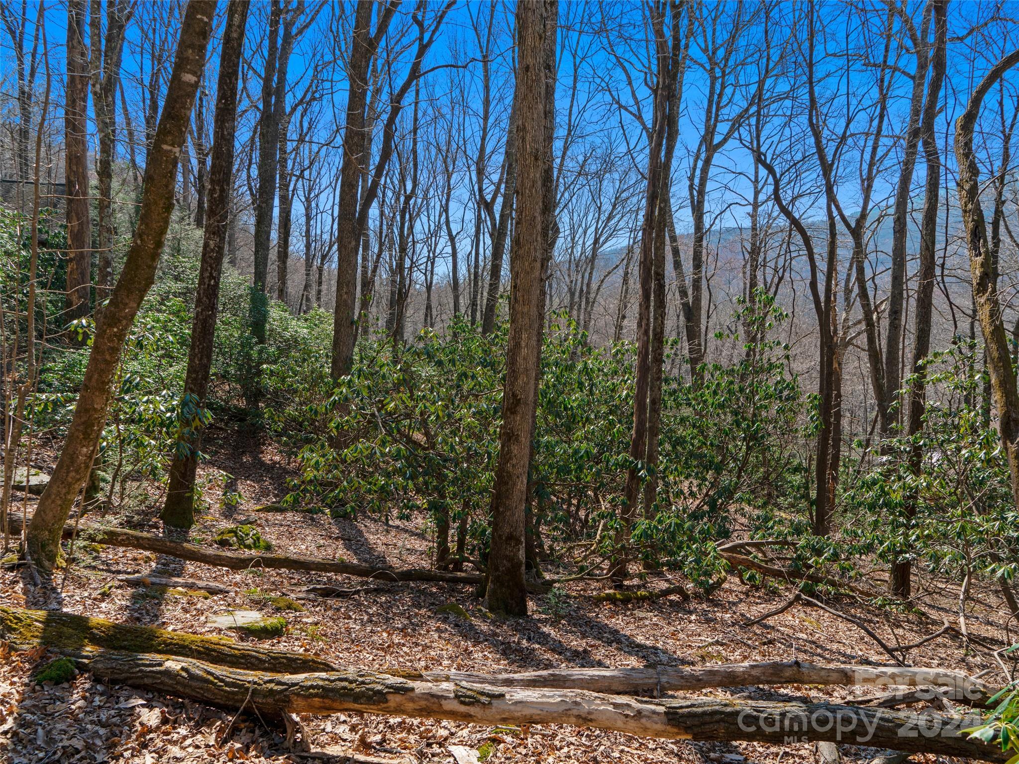 Mt. Mitchell Lands - Land